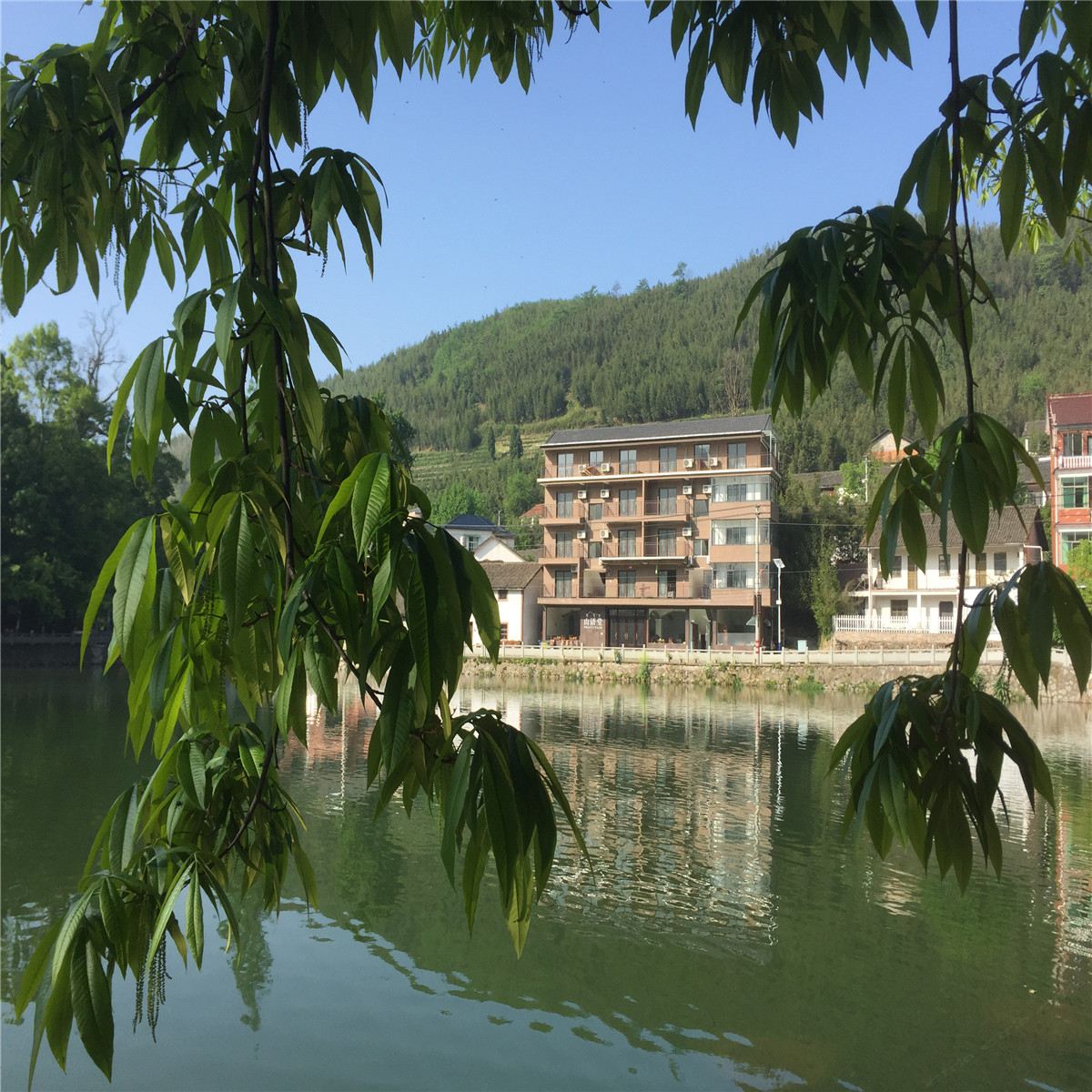 杭州山语堂民宿