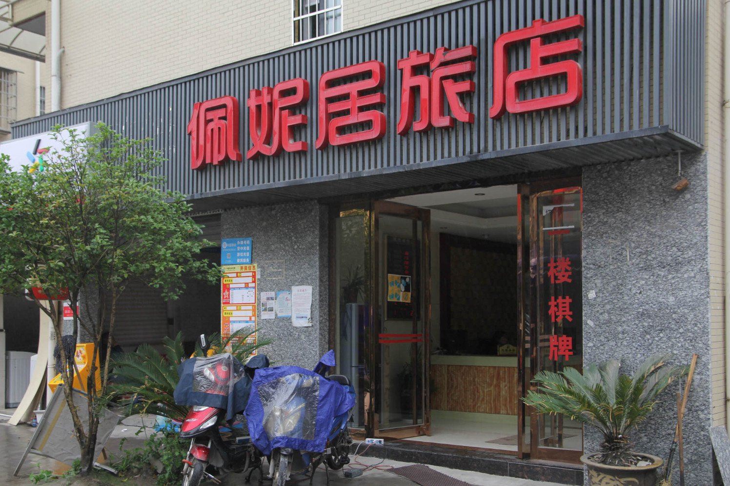 外观