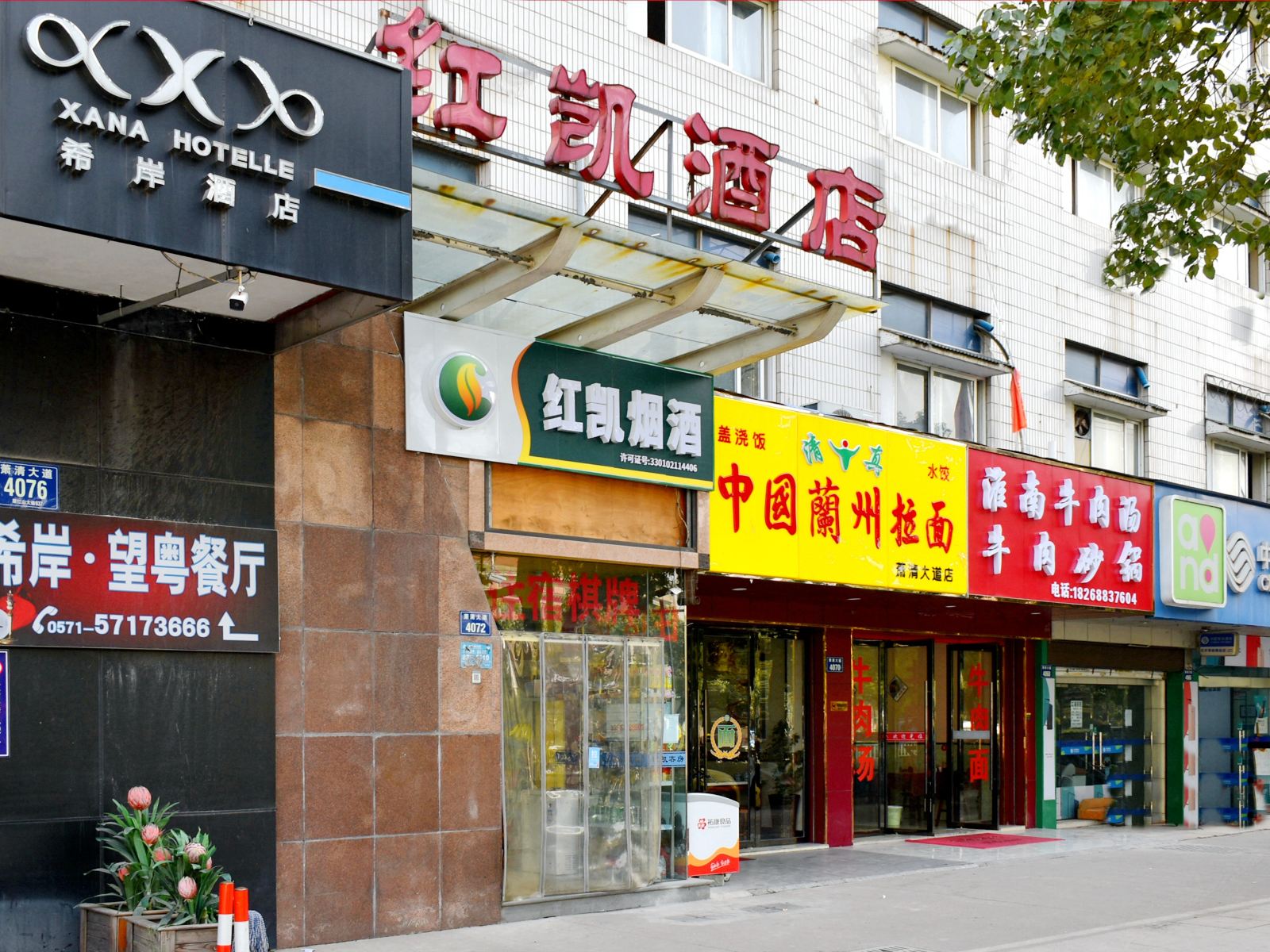 外观