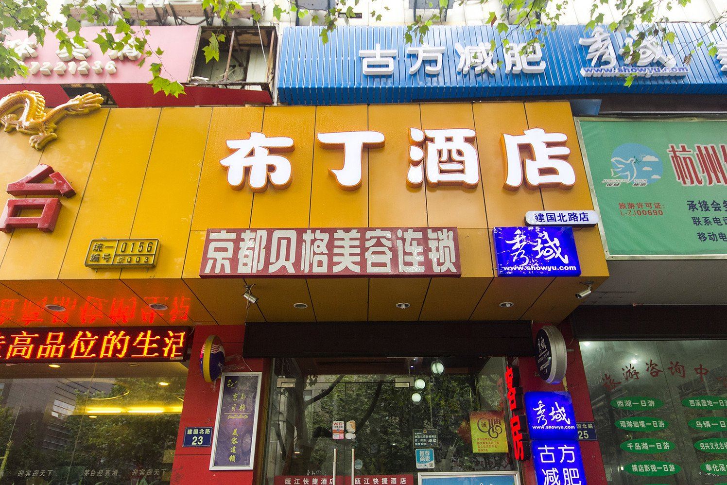 外观