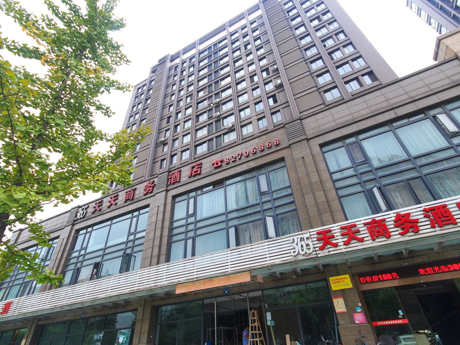 外观