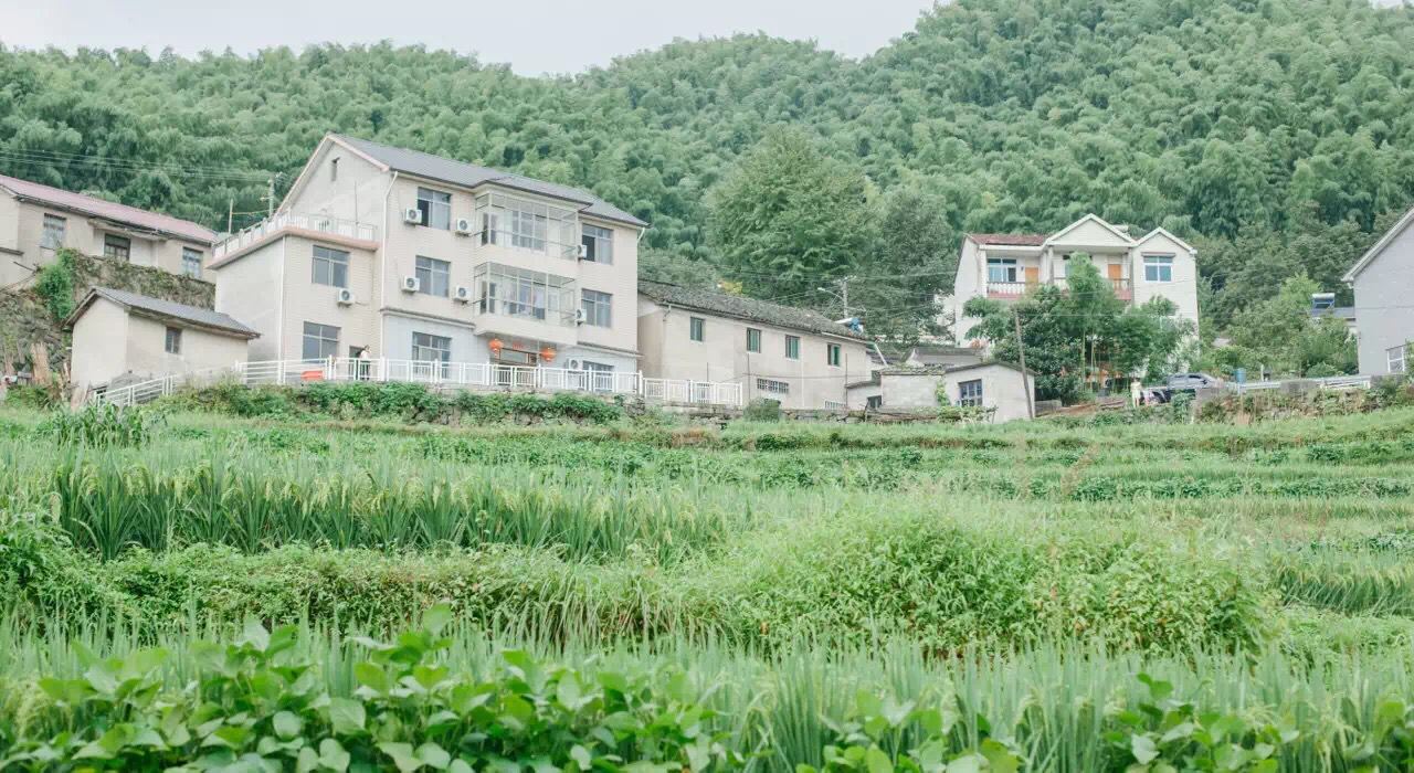 杭州暮光雅苑人家民宿