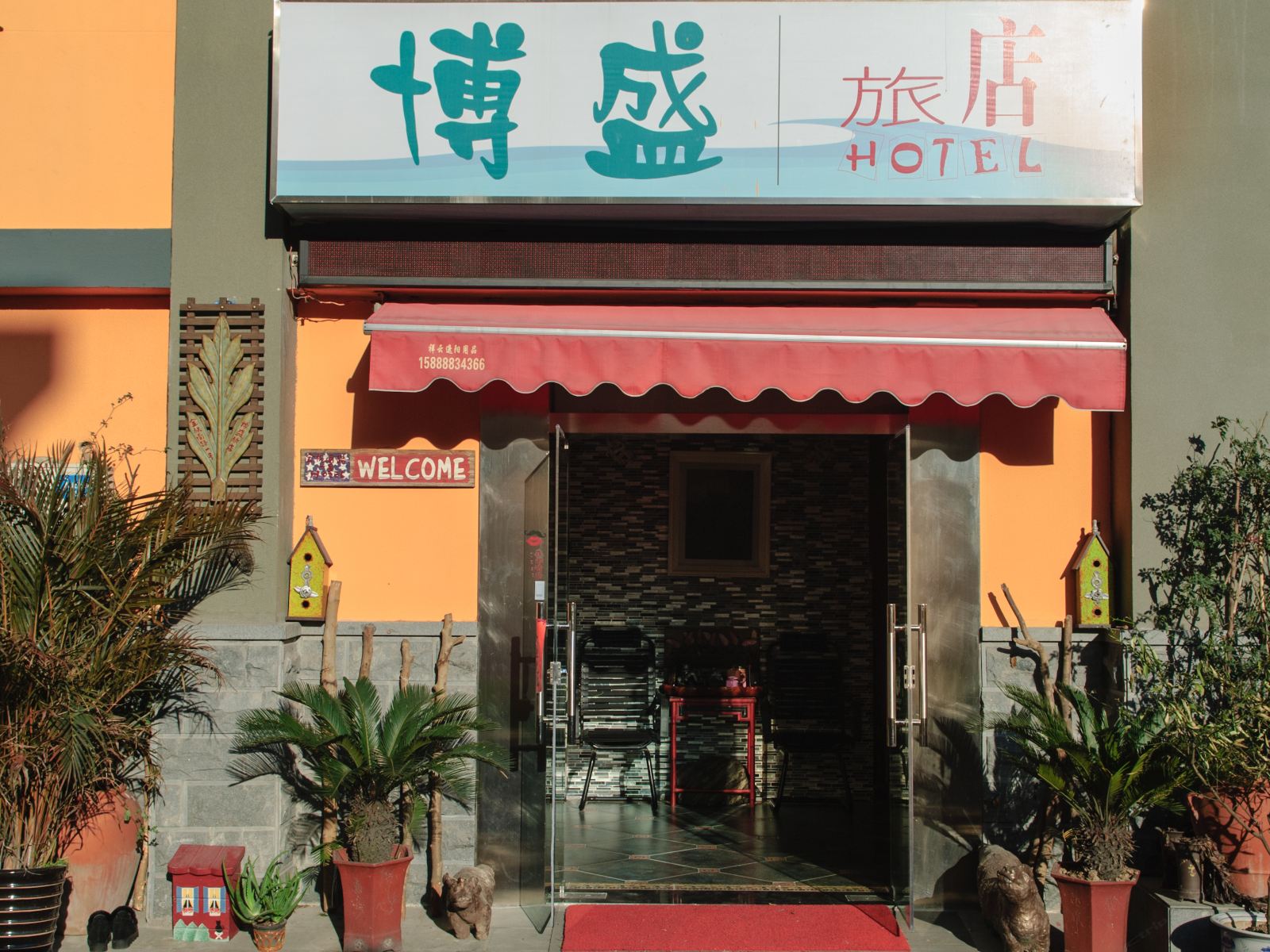 外观