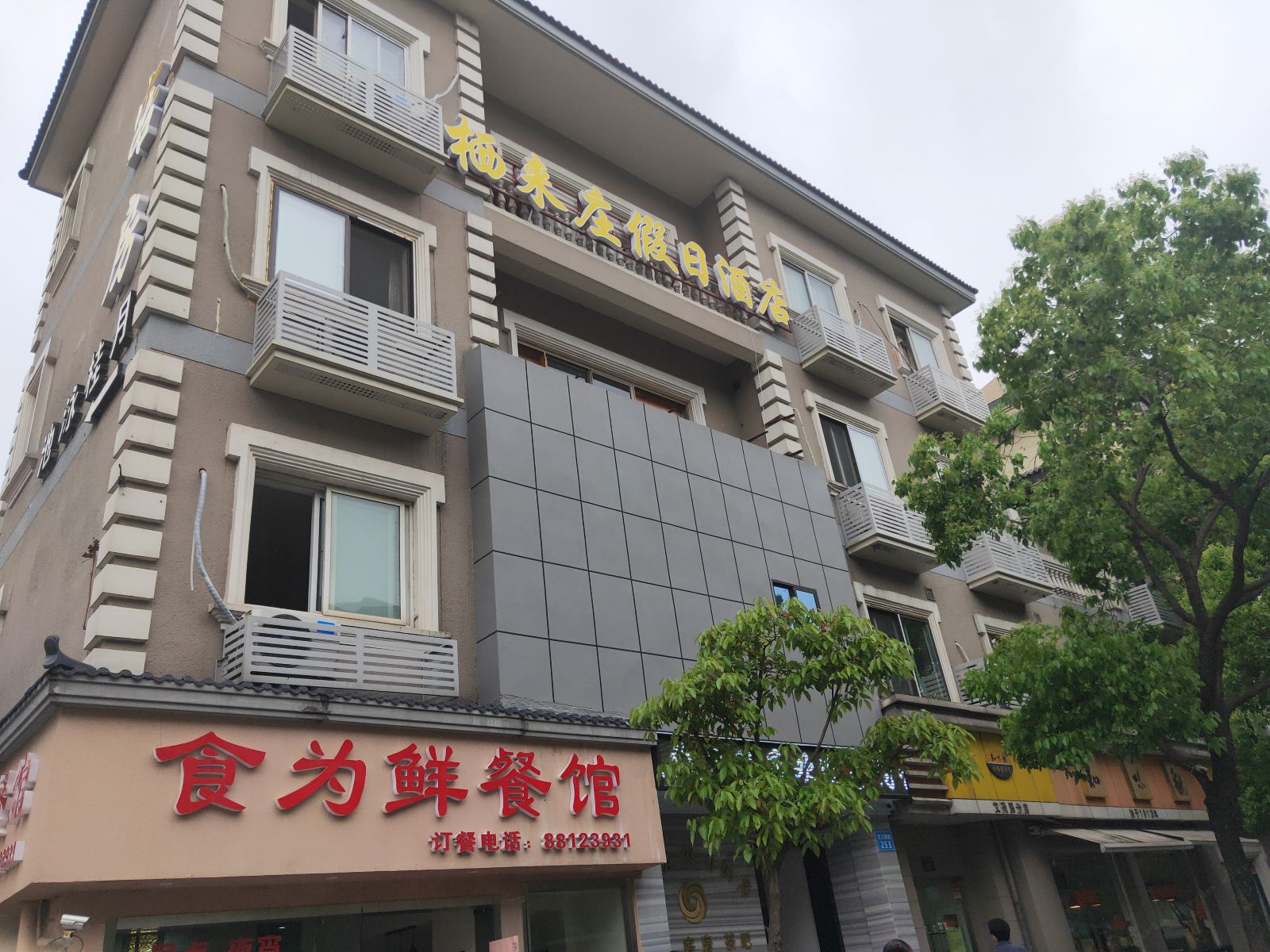 外观