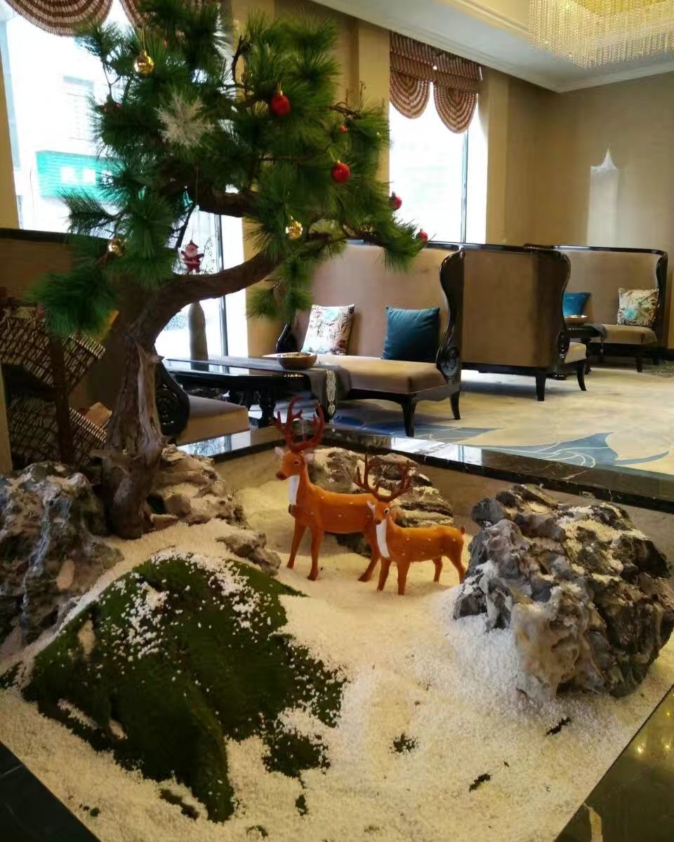 公共区域