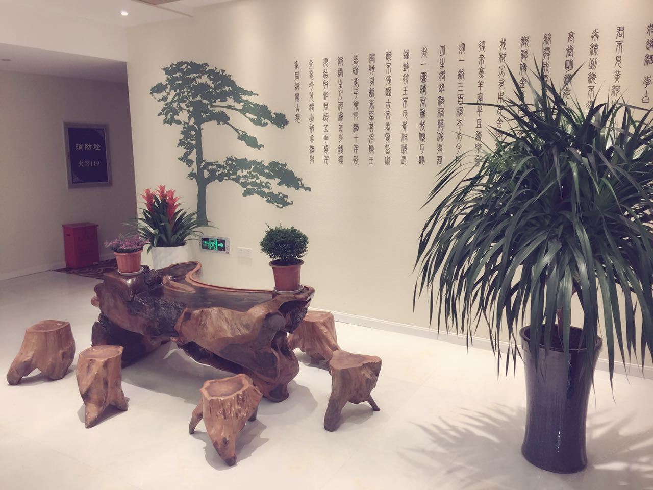 公共区域