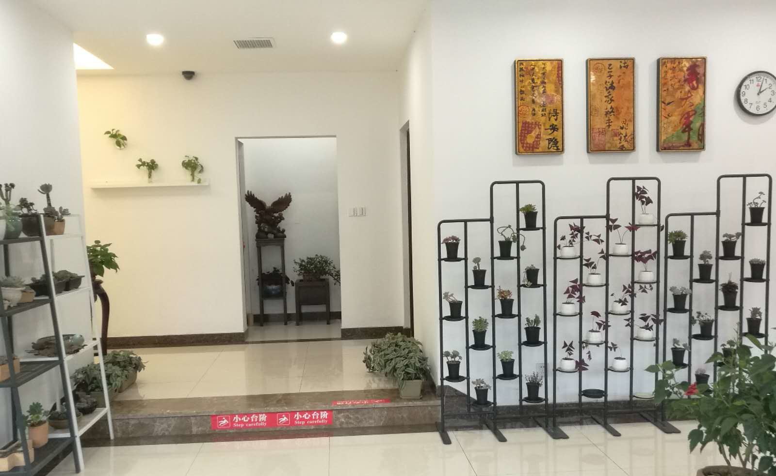 公共区域