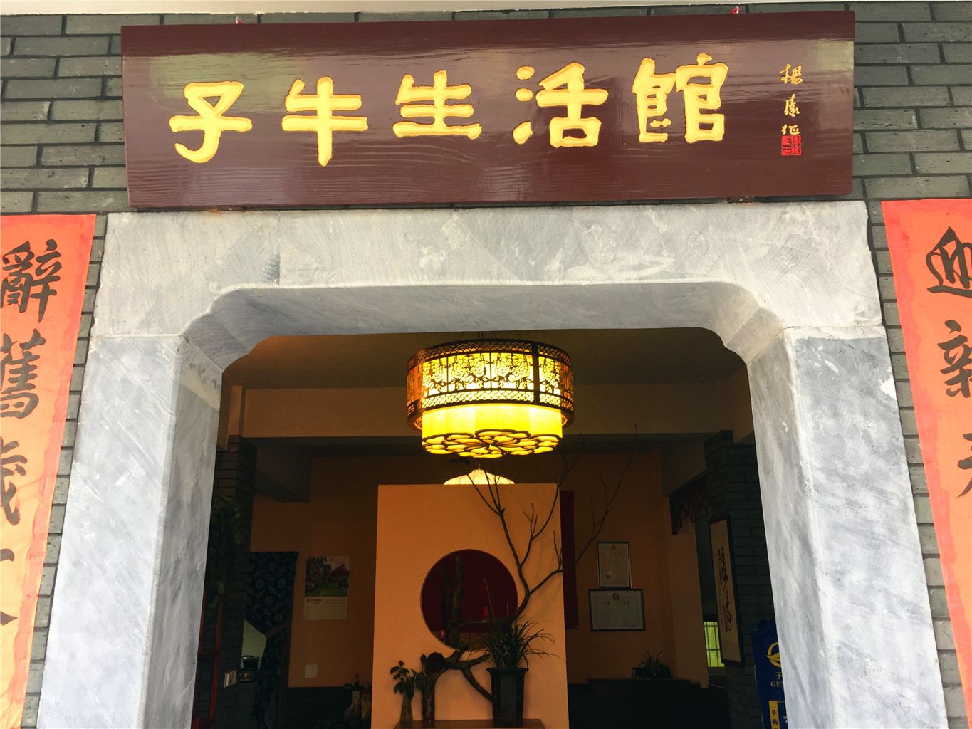 外观