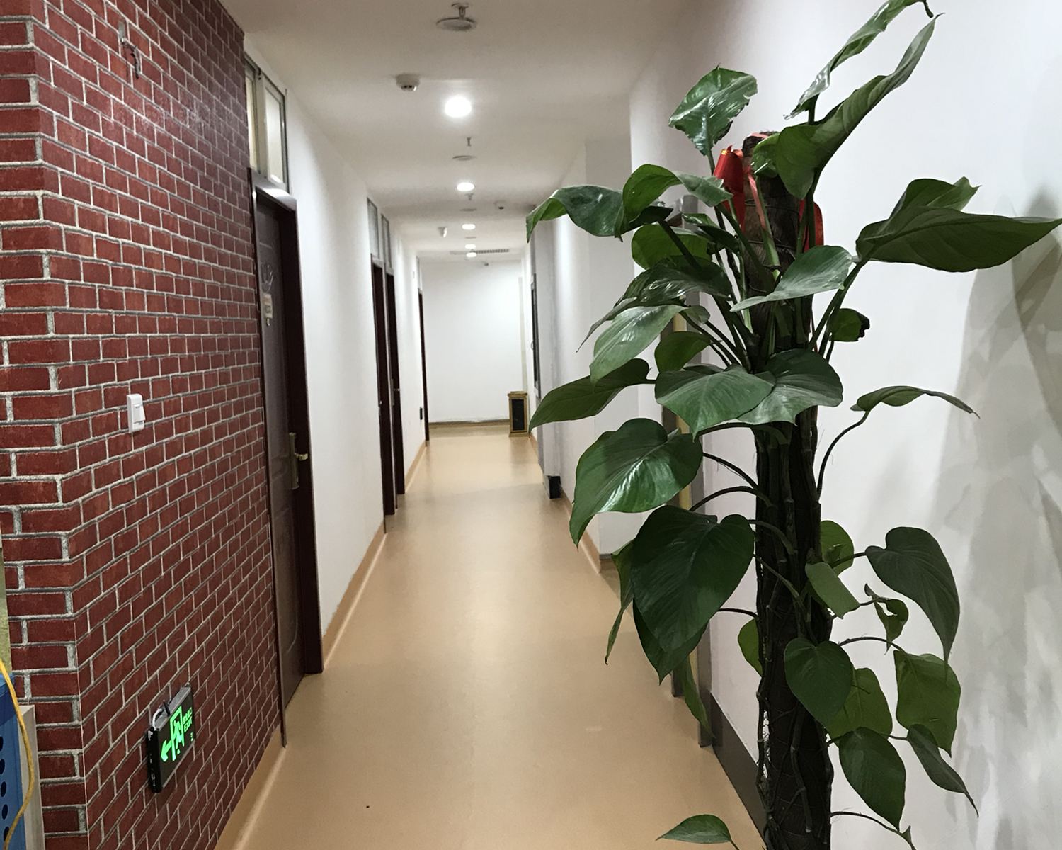 公共区域