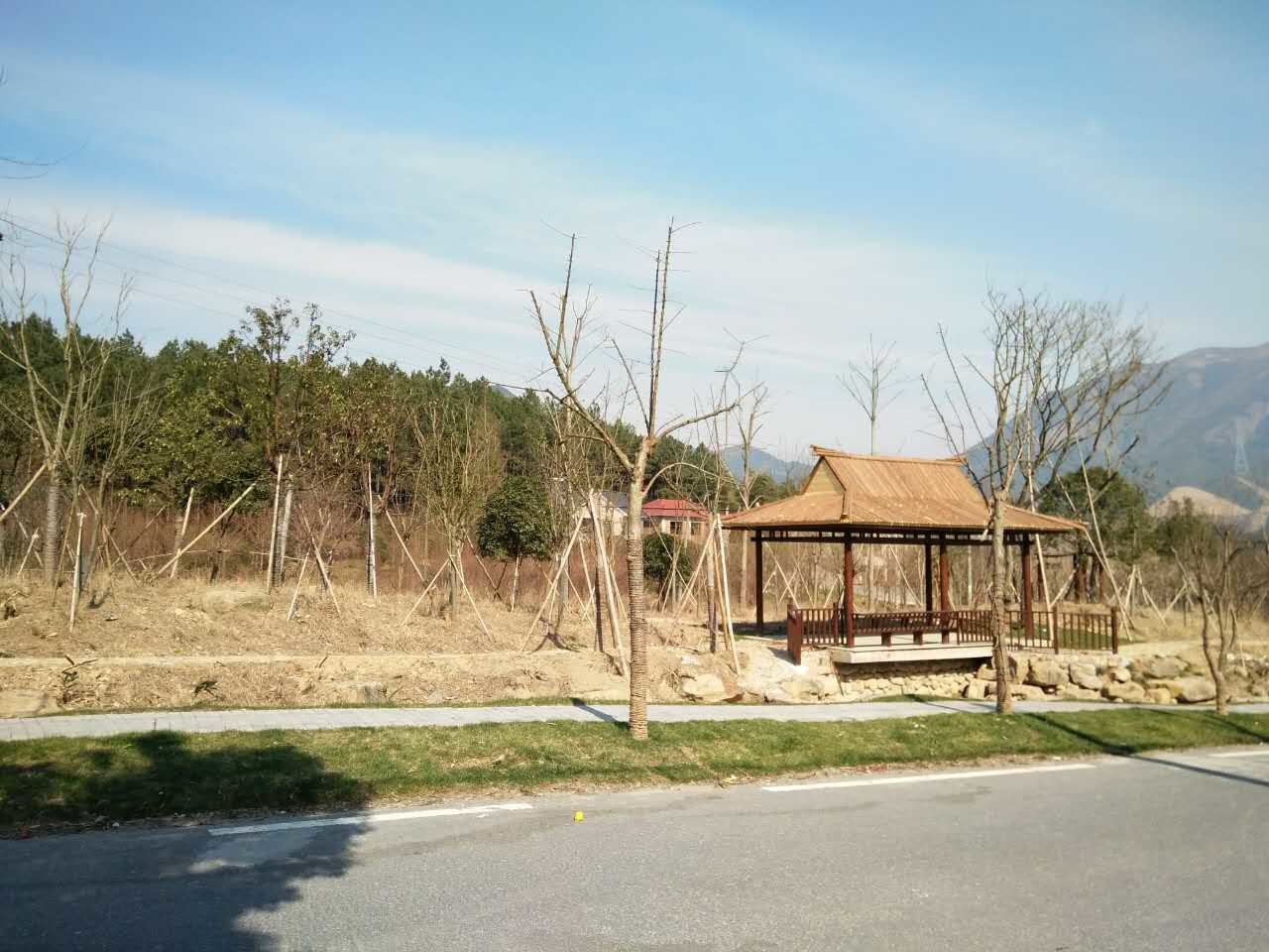 杭州市千岛湖千岛湖边生机盎然浪漫温馨交通方便的一居室公寓(分店)