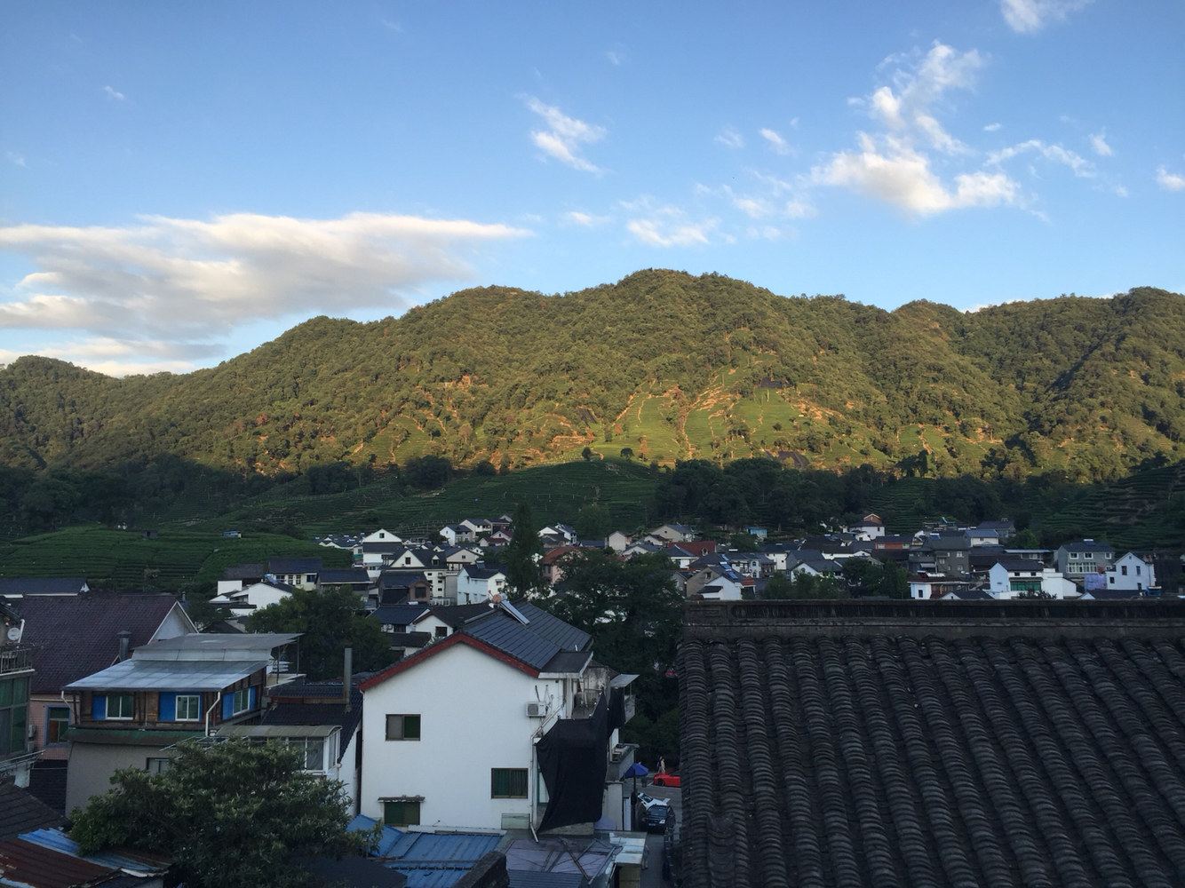 杭州梅家坞山清民宿