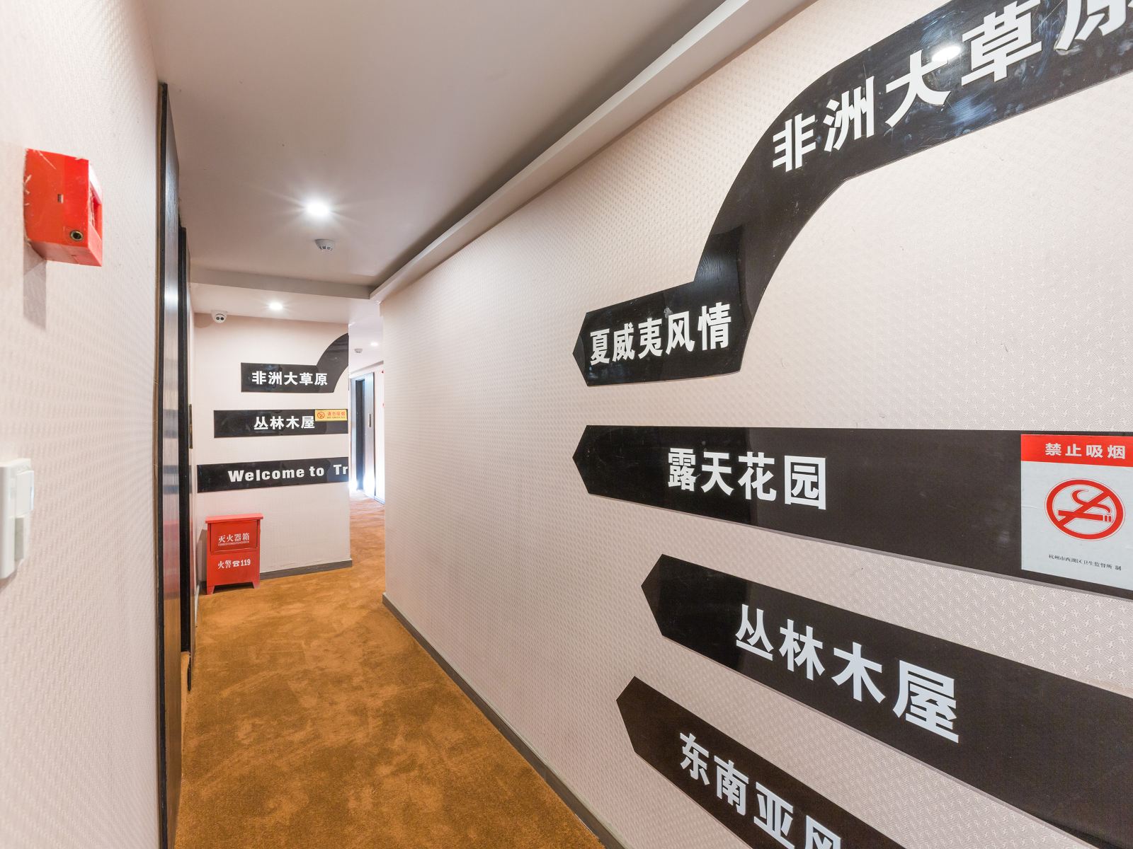 公共区域