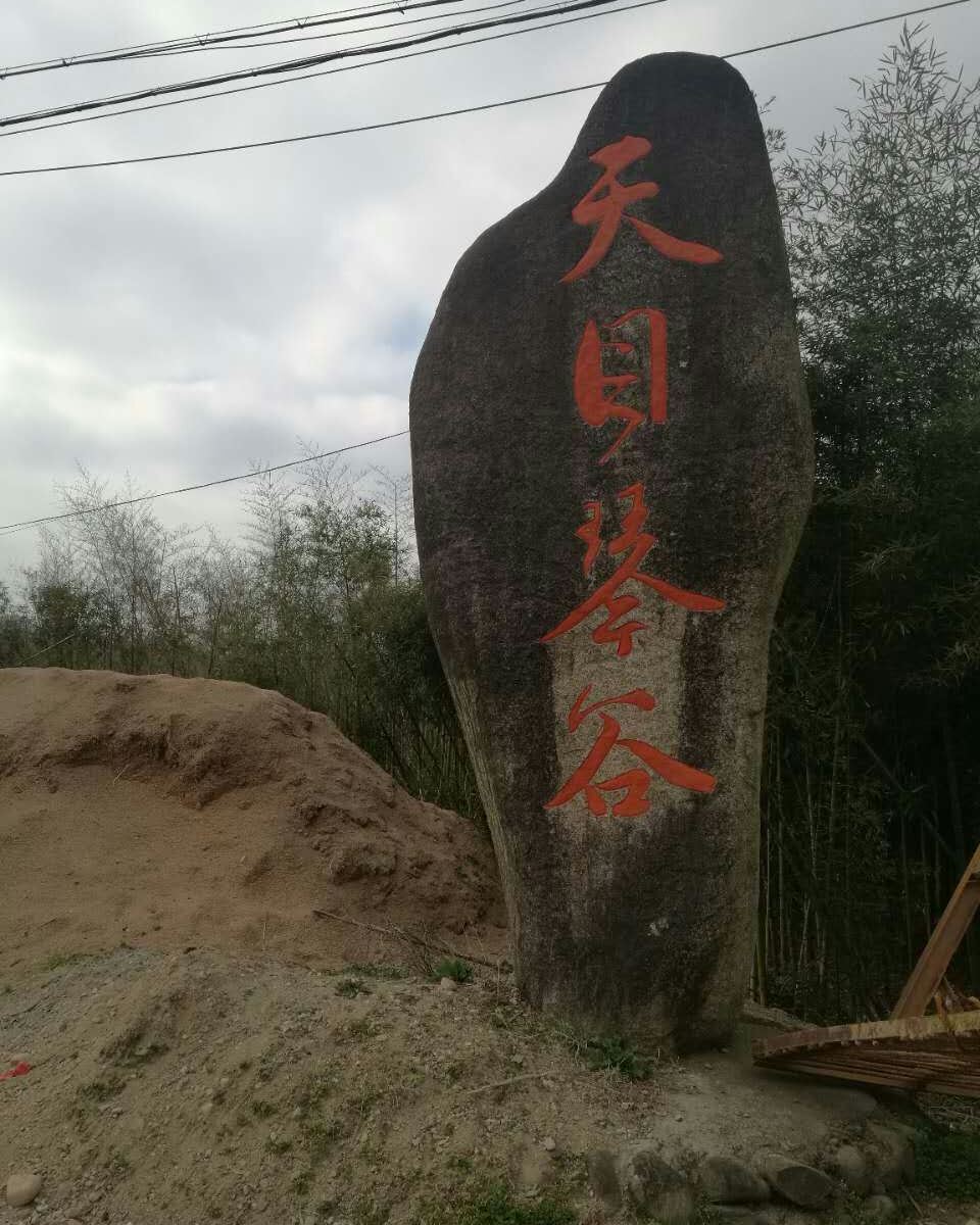 杭州木屋别墅