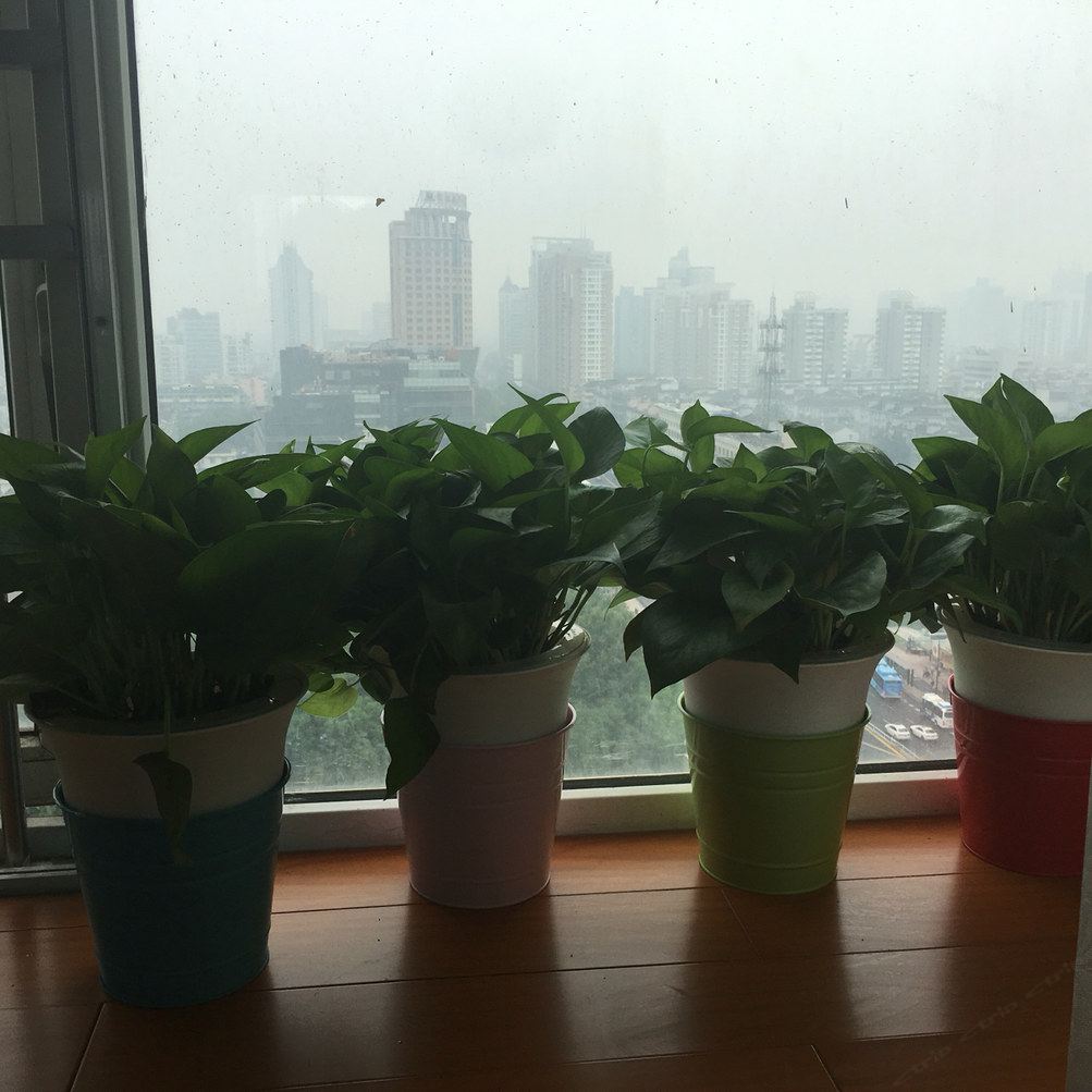杭州粉寓蓝我与你一起美好从这里开始普通公寓