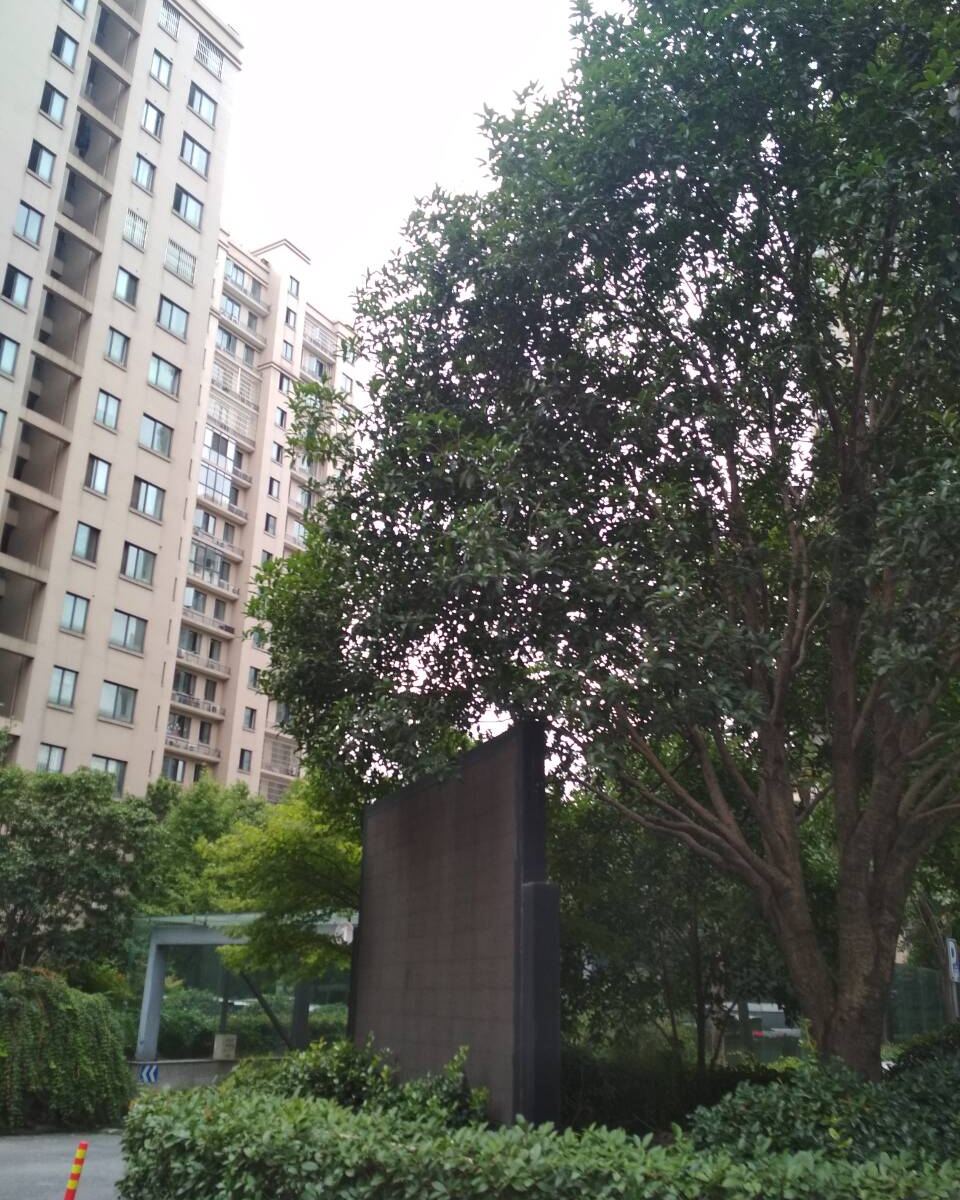 杭州遇到如故青年旅社