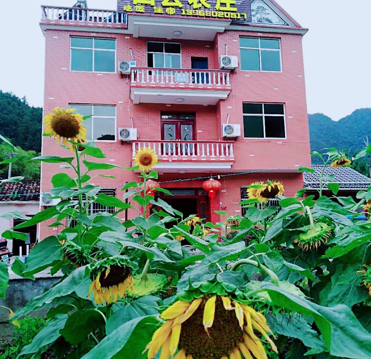 杭州田云农庄