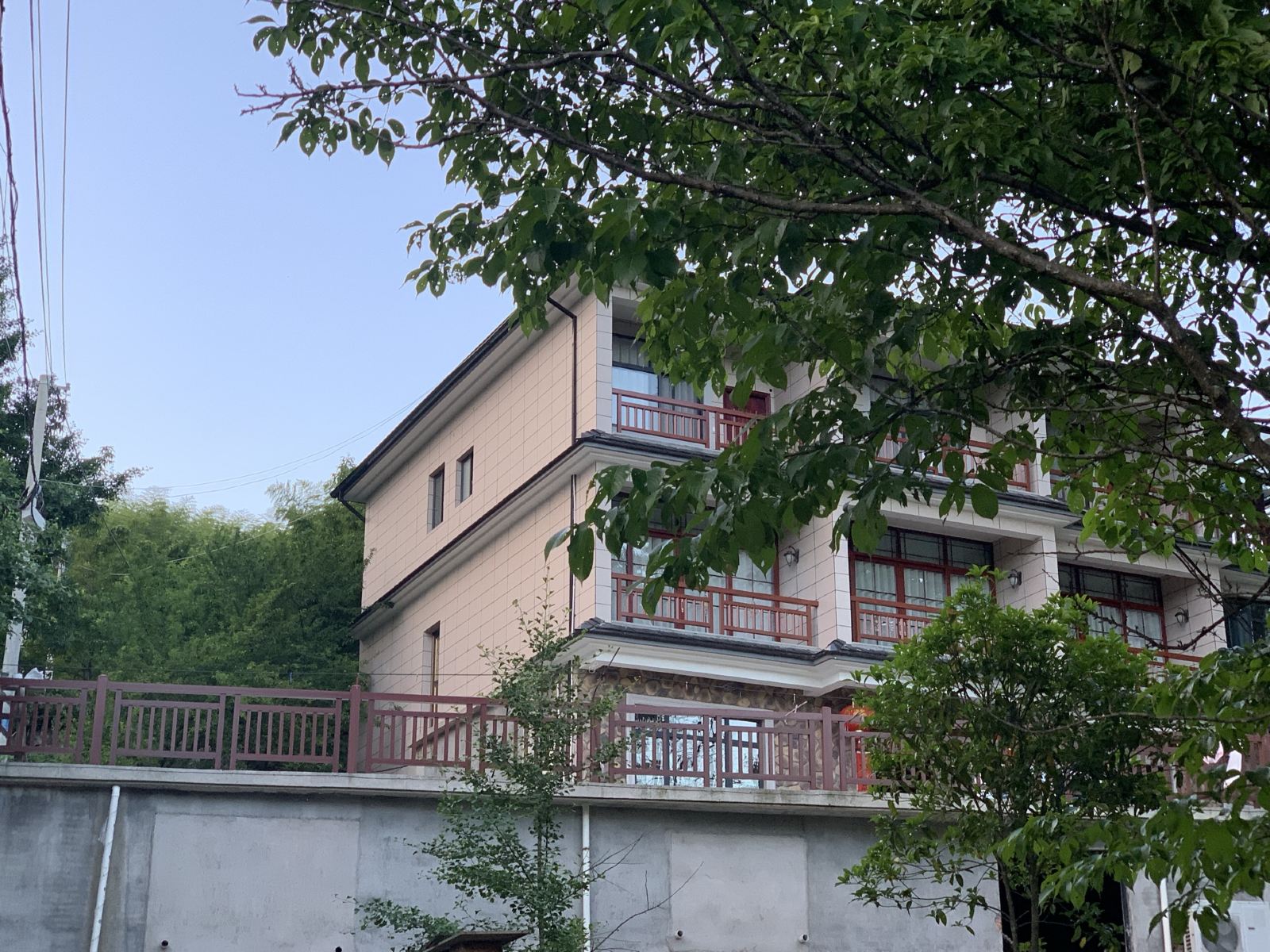 杭州古树民宿