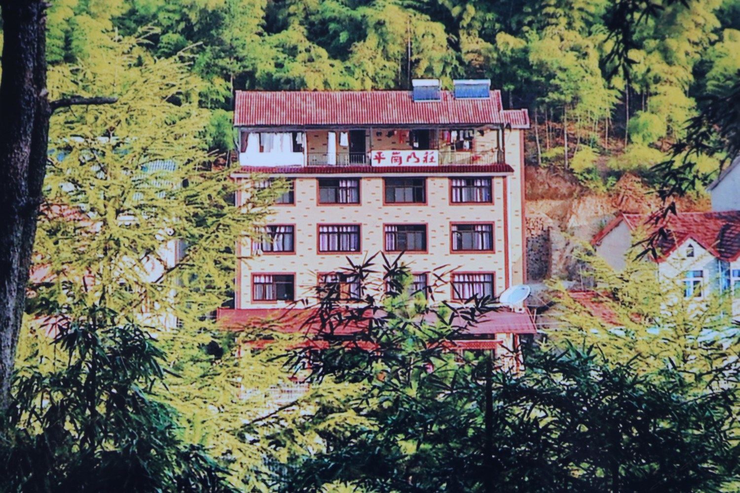 其他