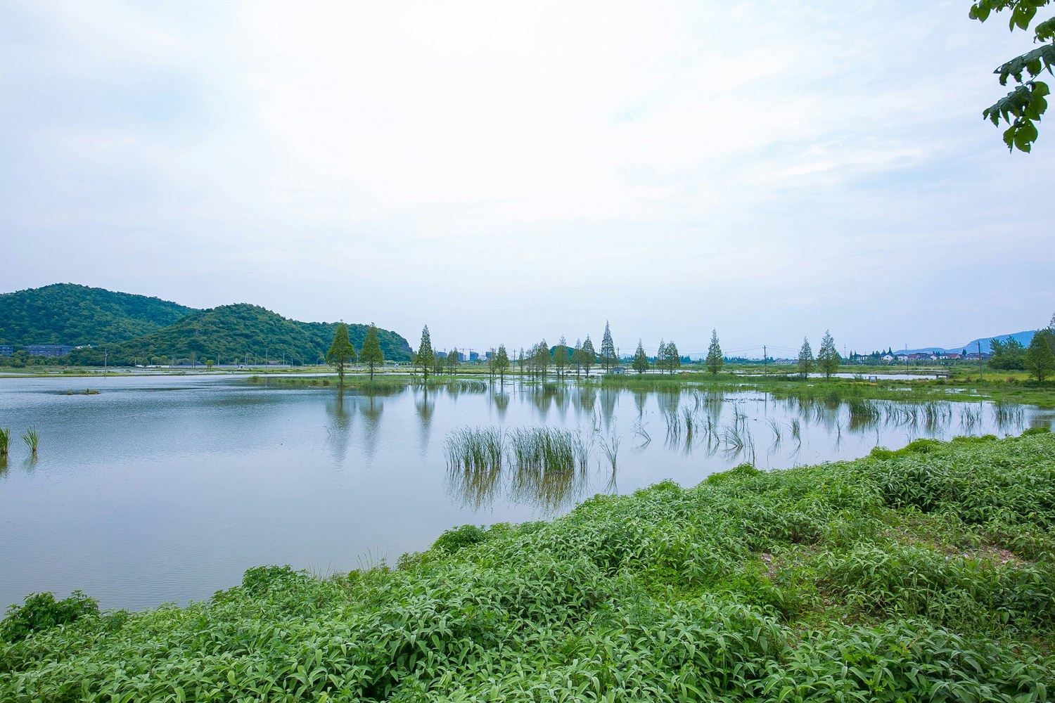 悦来山居度假别墅NO.6