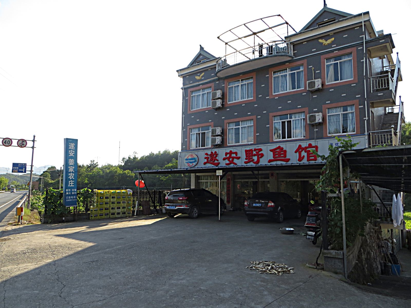 外观