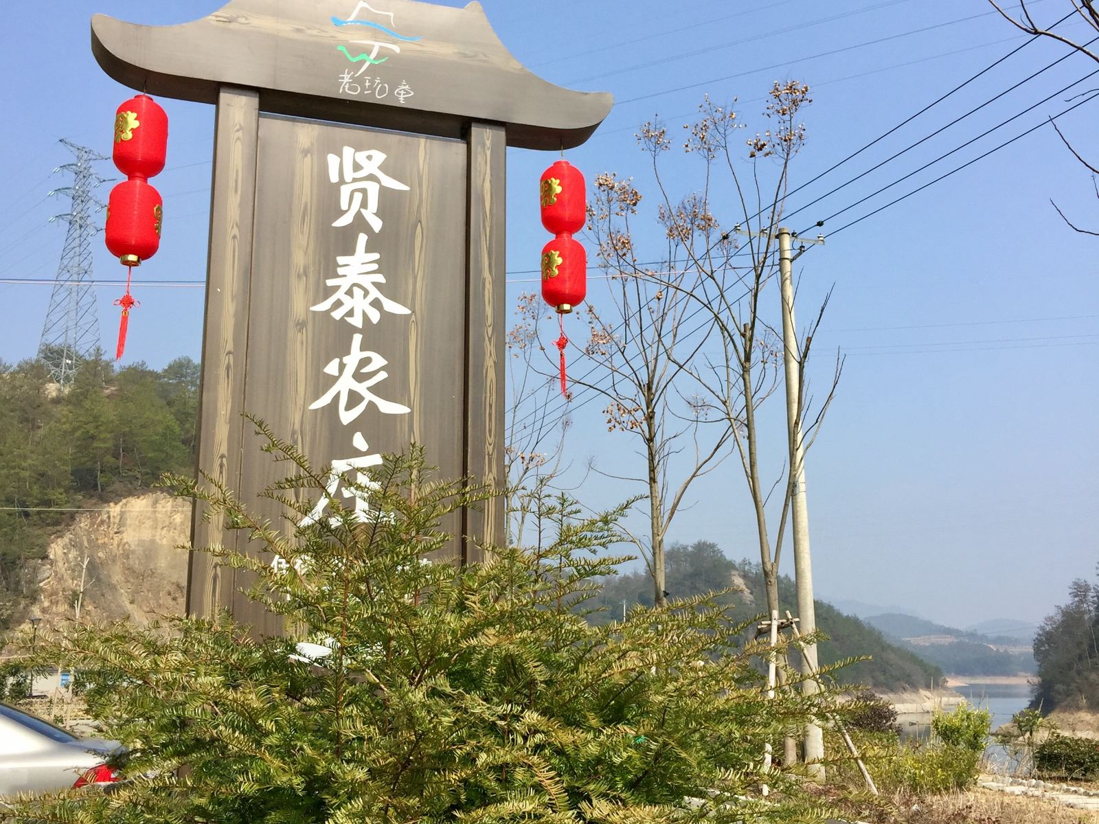 外观