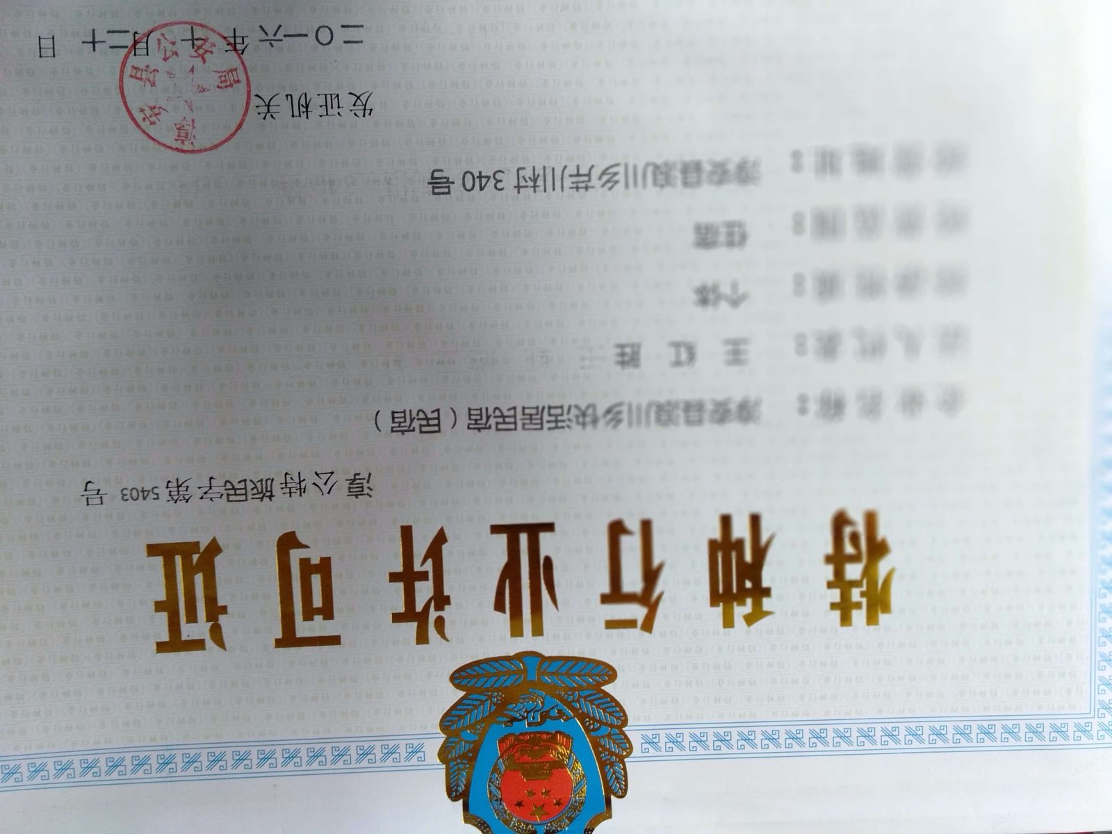 其他