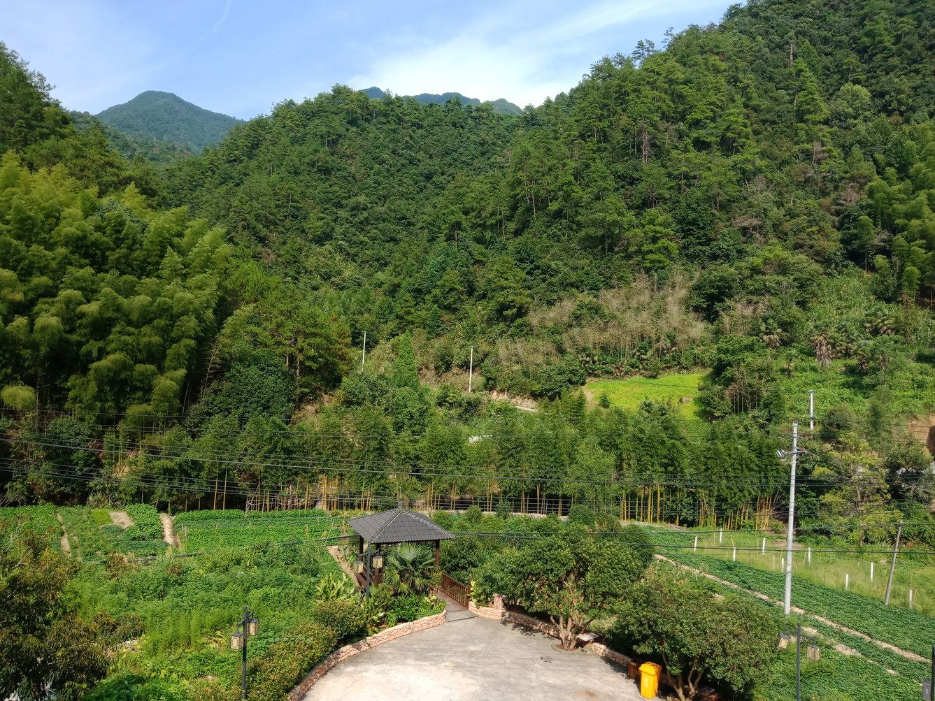 其他
