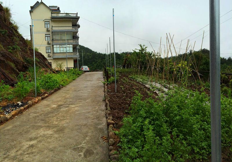 千岛湖志龙农庄