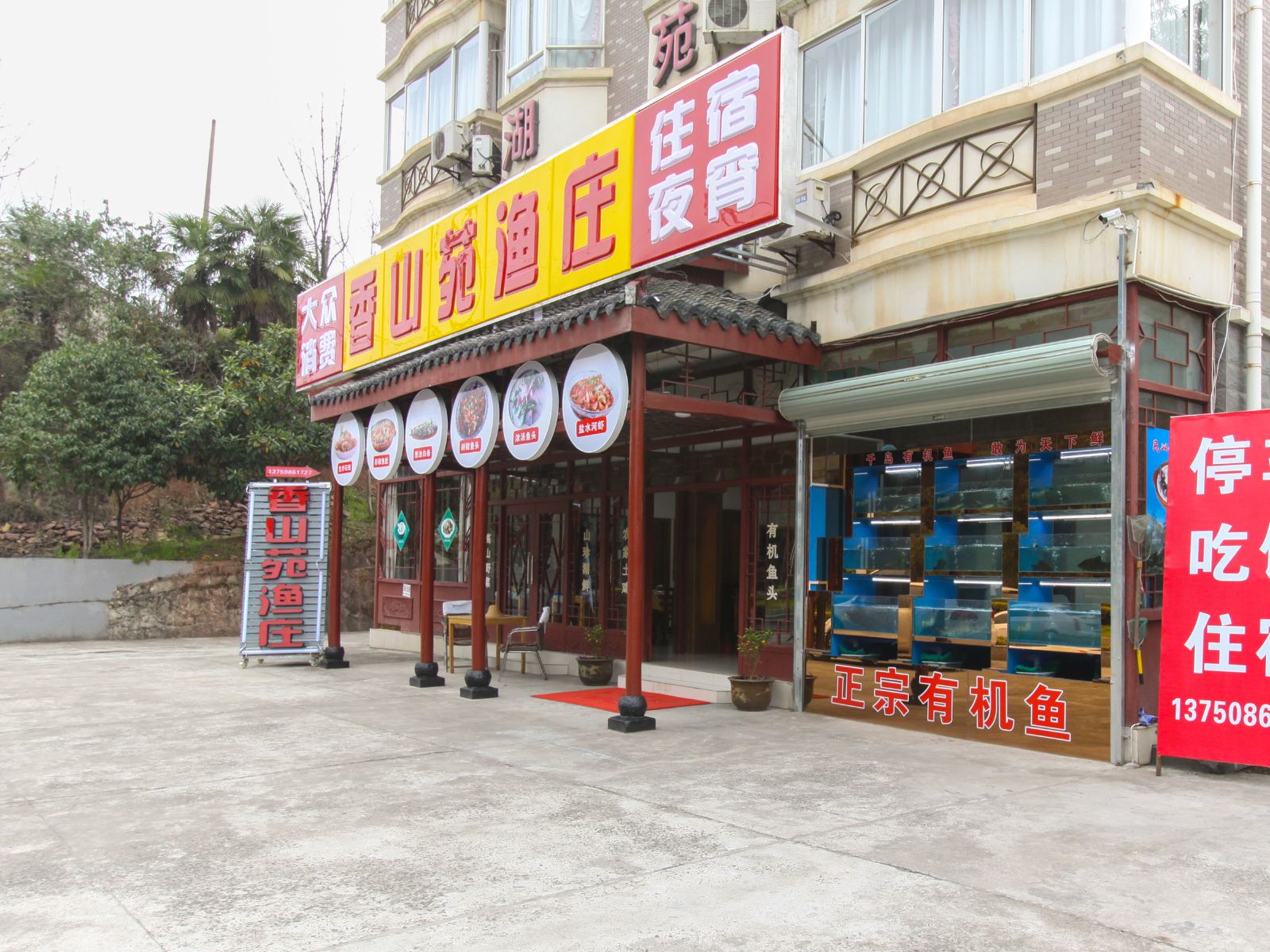 外观