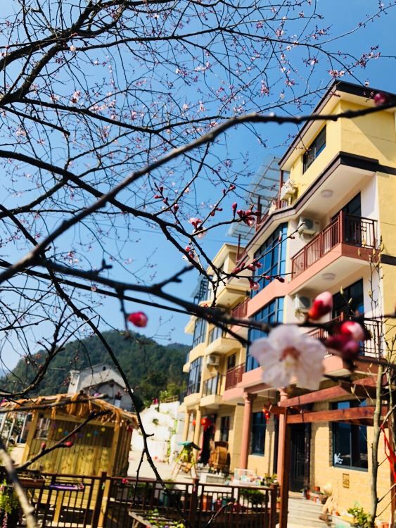 千岛湖千寻民宿