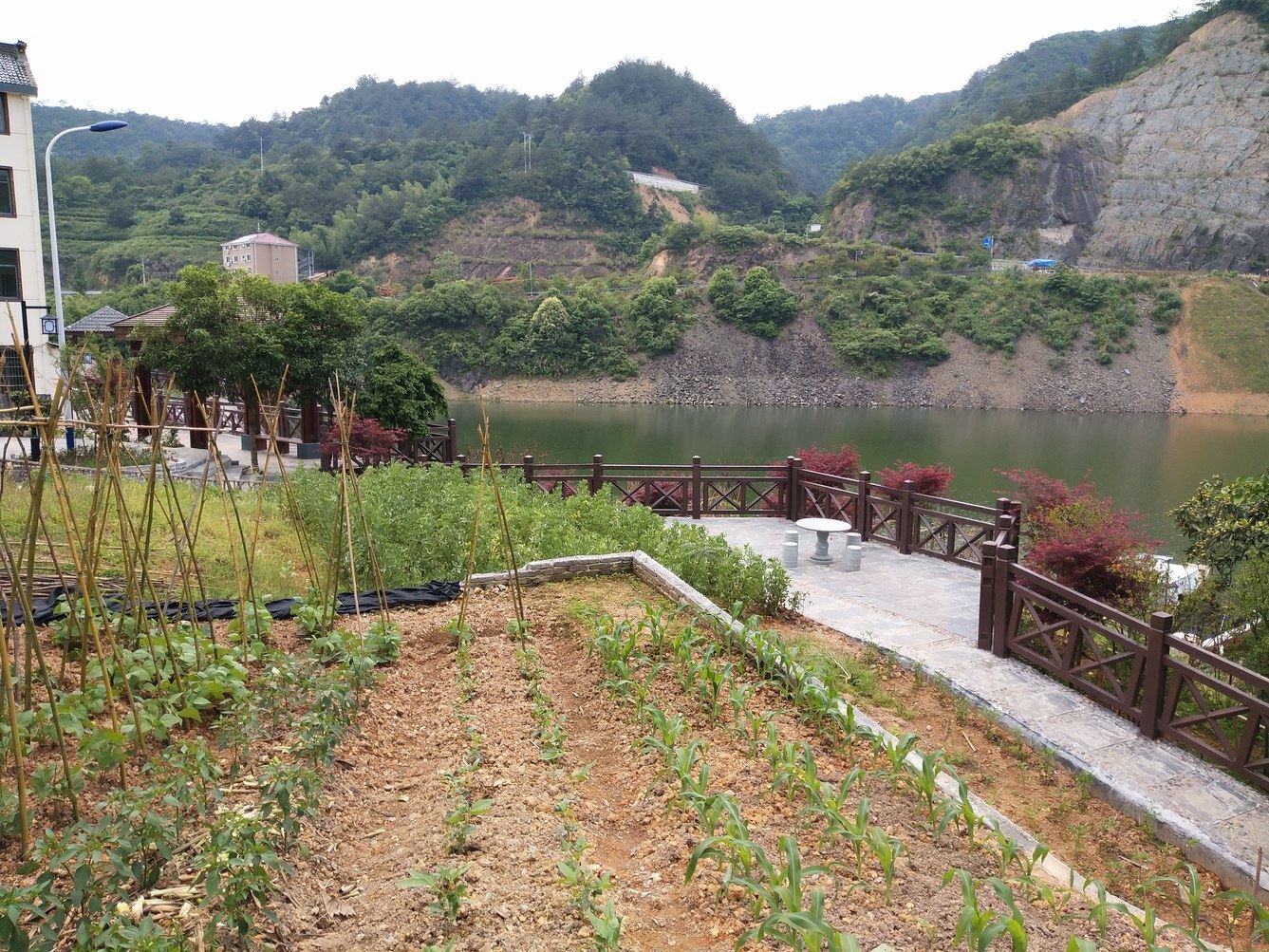 杭州淳安漫岛民宿(石头埠村分店)