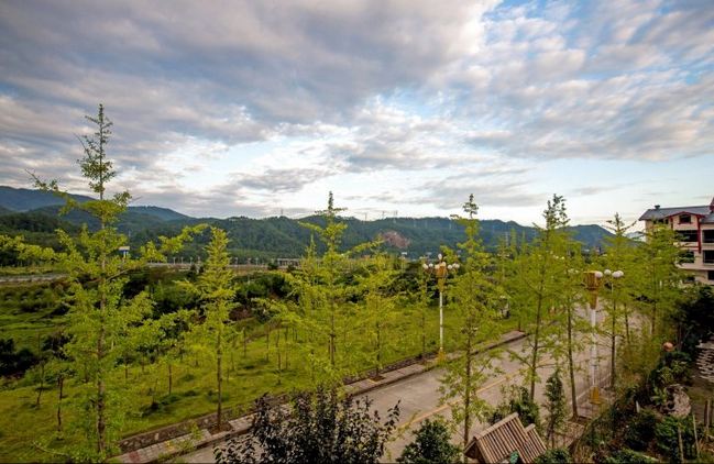 南平武夷山舒馨客栈