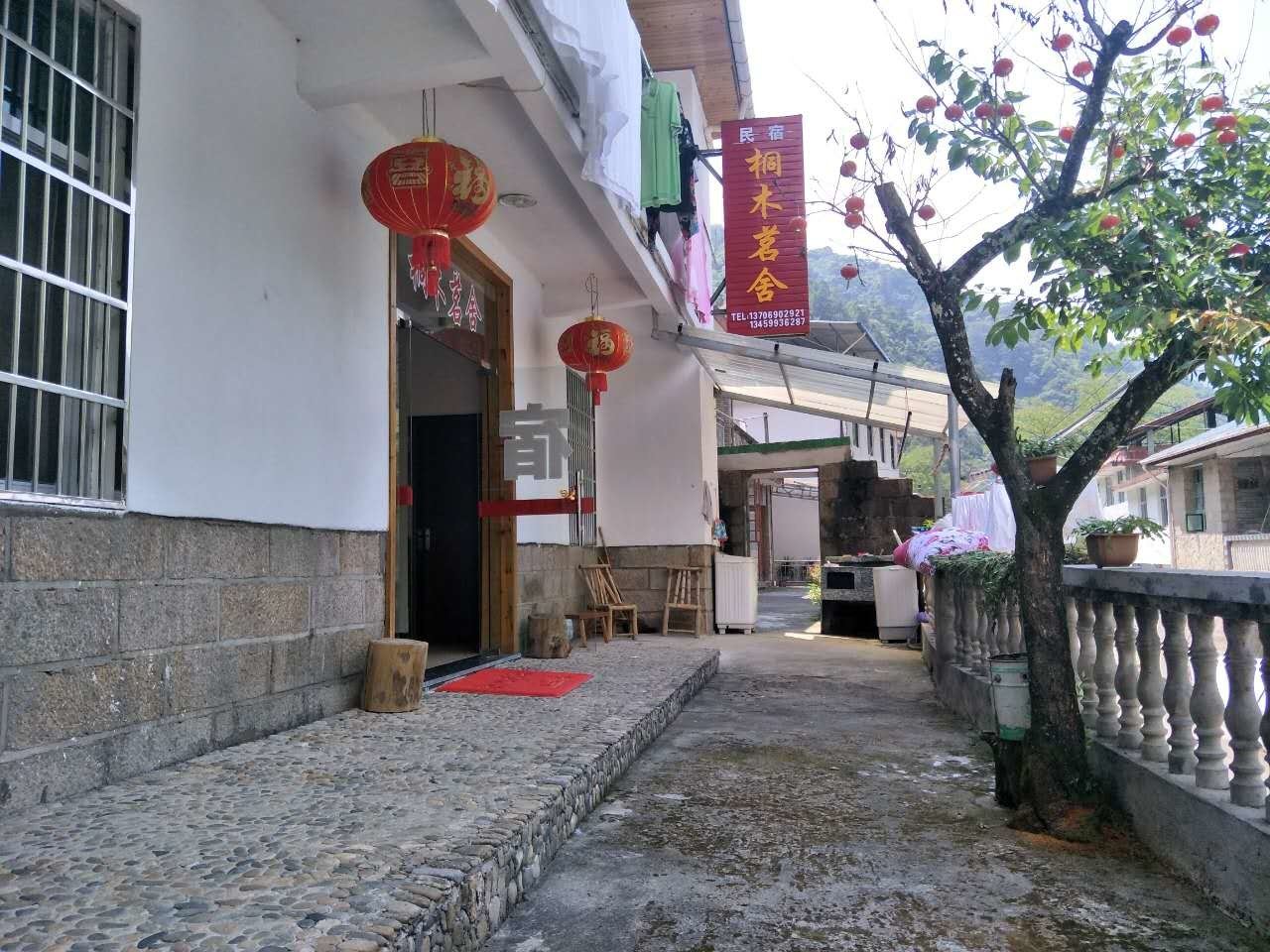 南平武夷山桐木茗舍农家乐