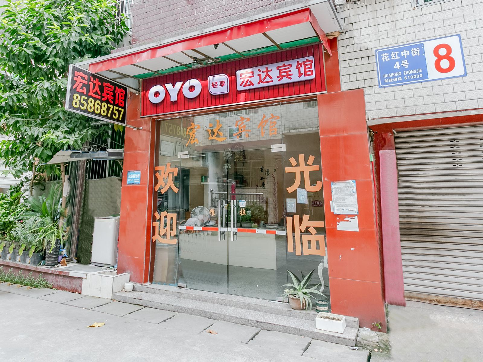 外观