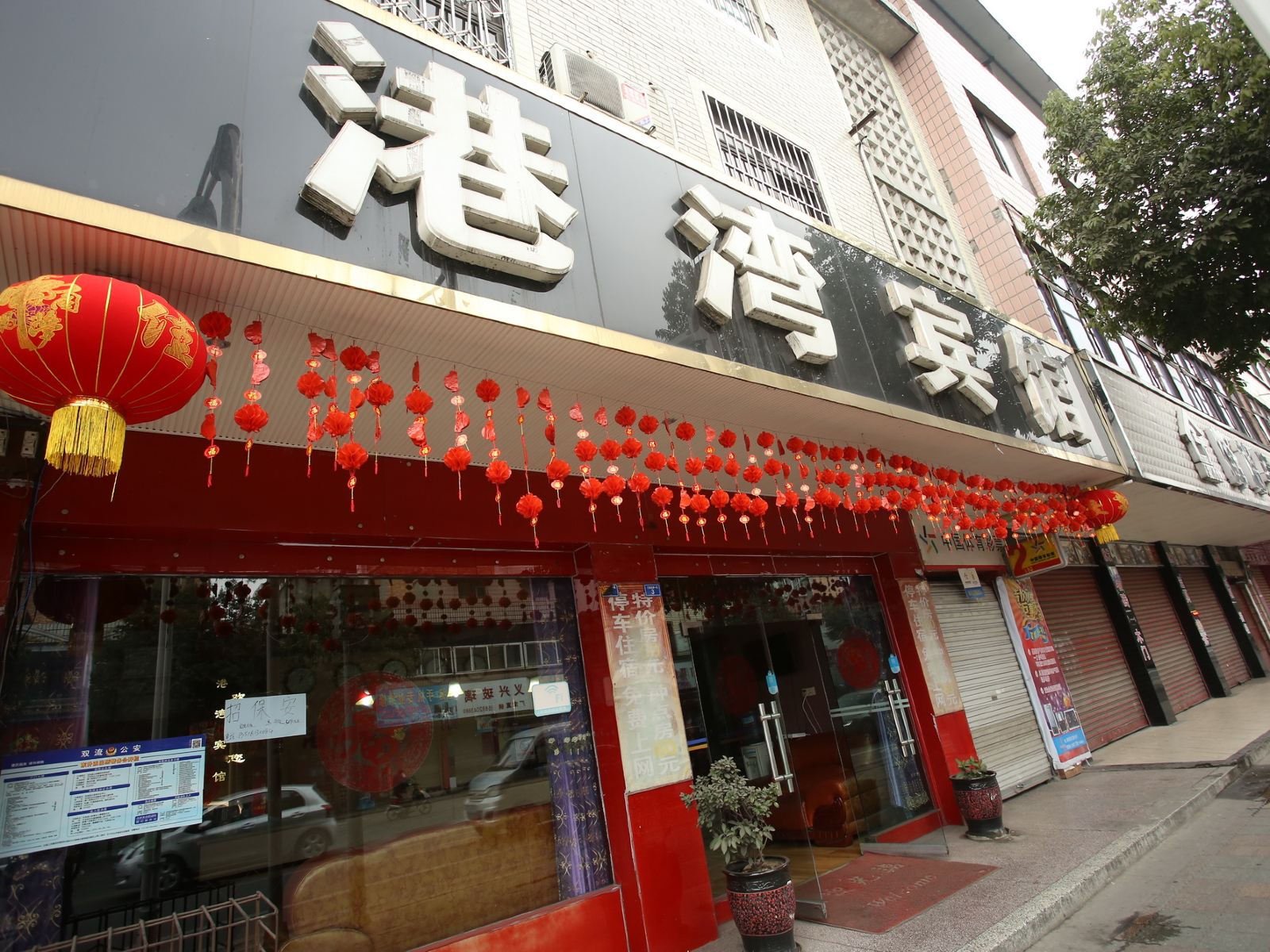 外观