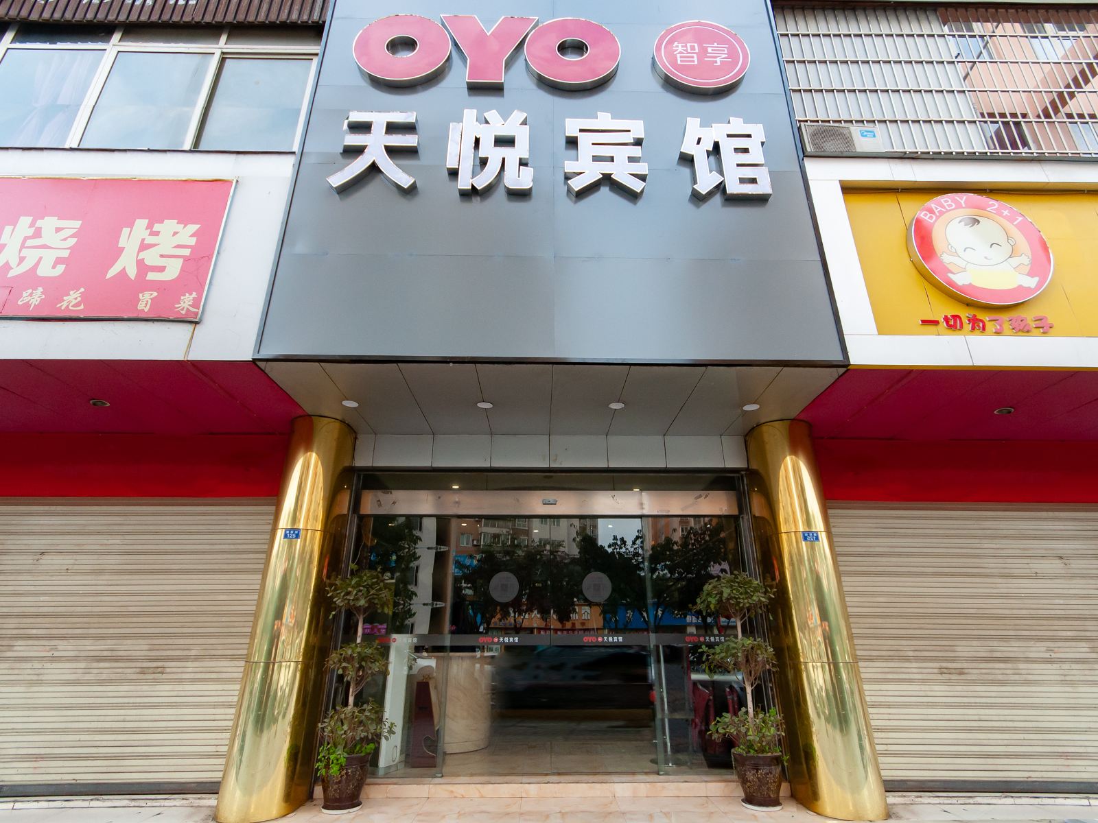 外观