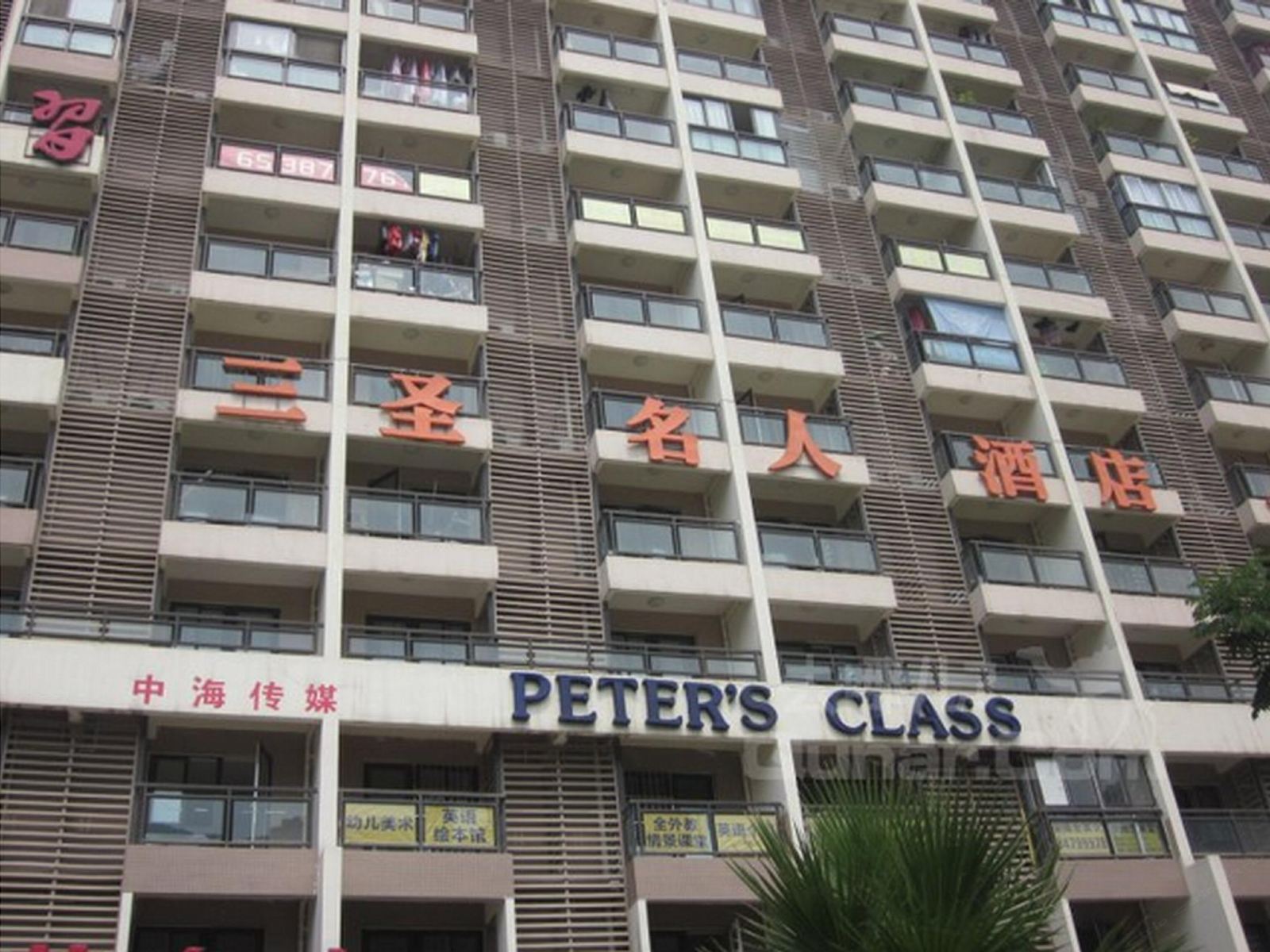外观