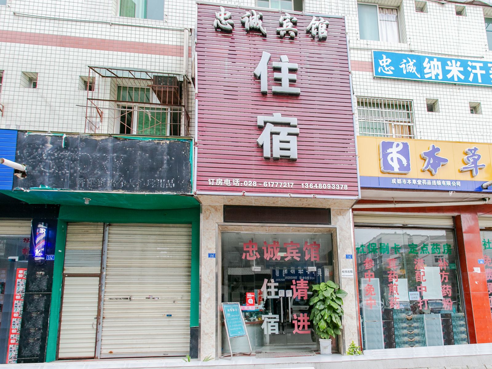 外观