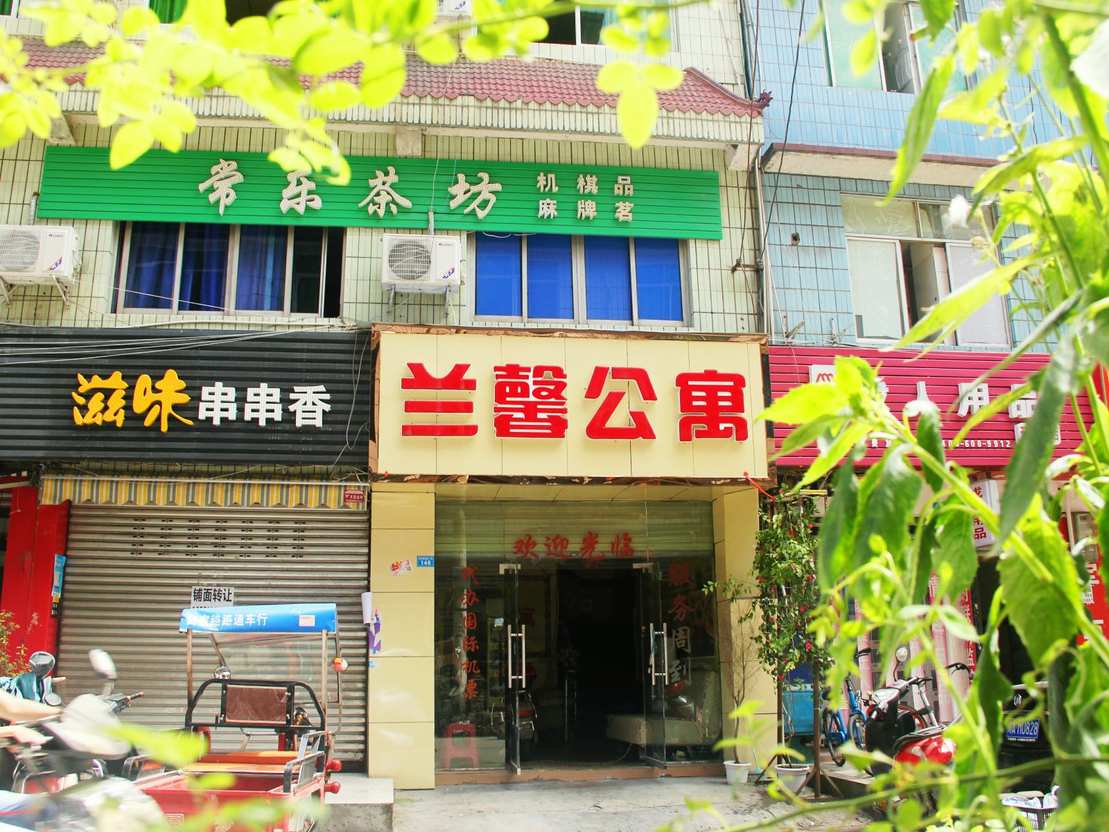 外观