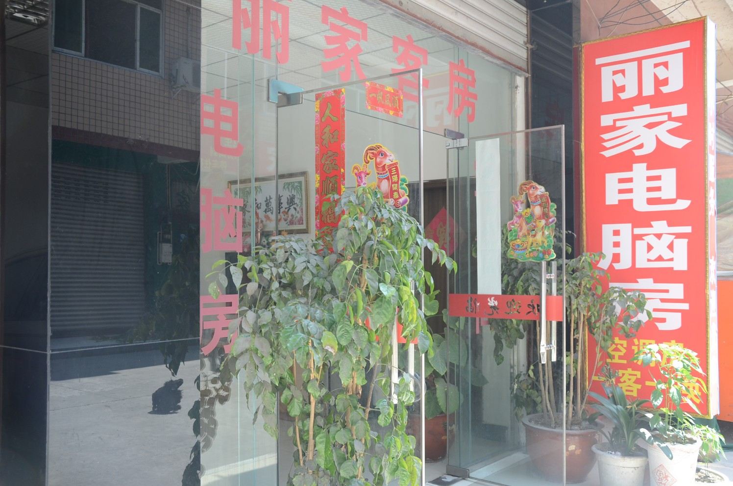 外观