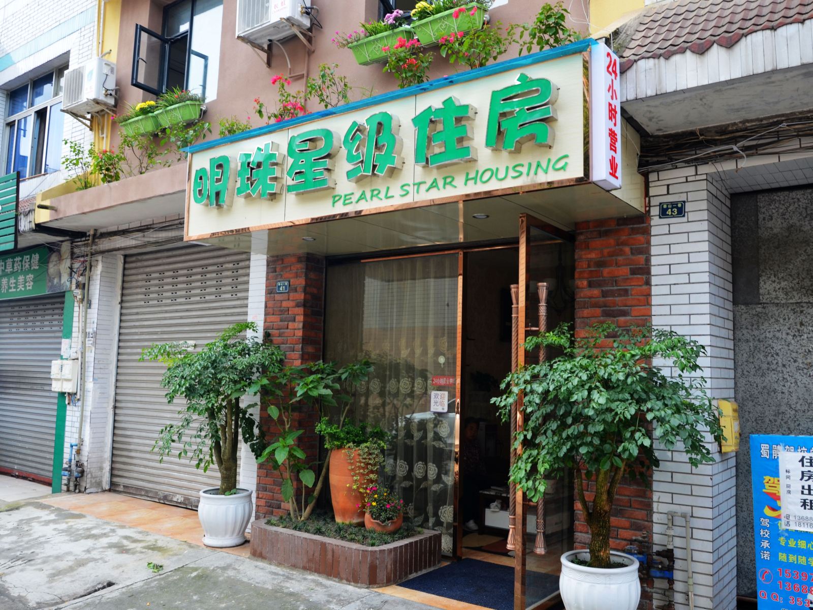 外观