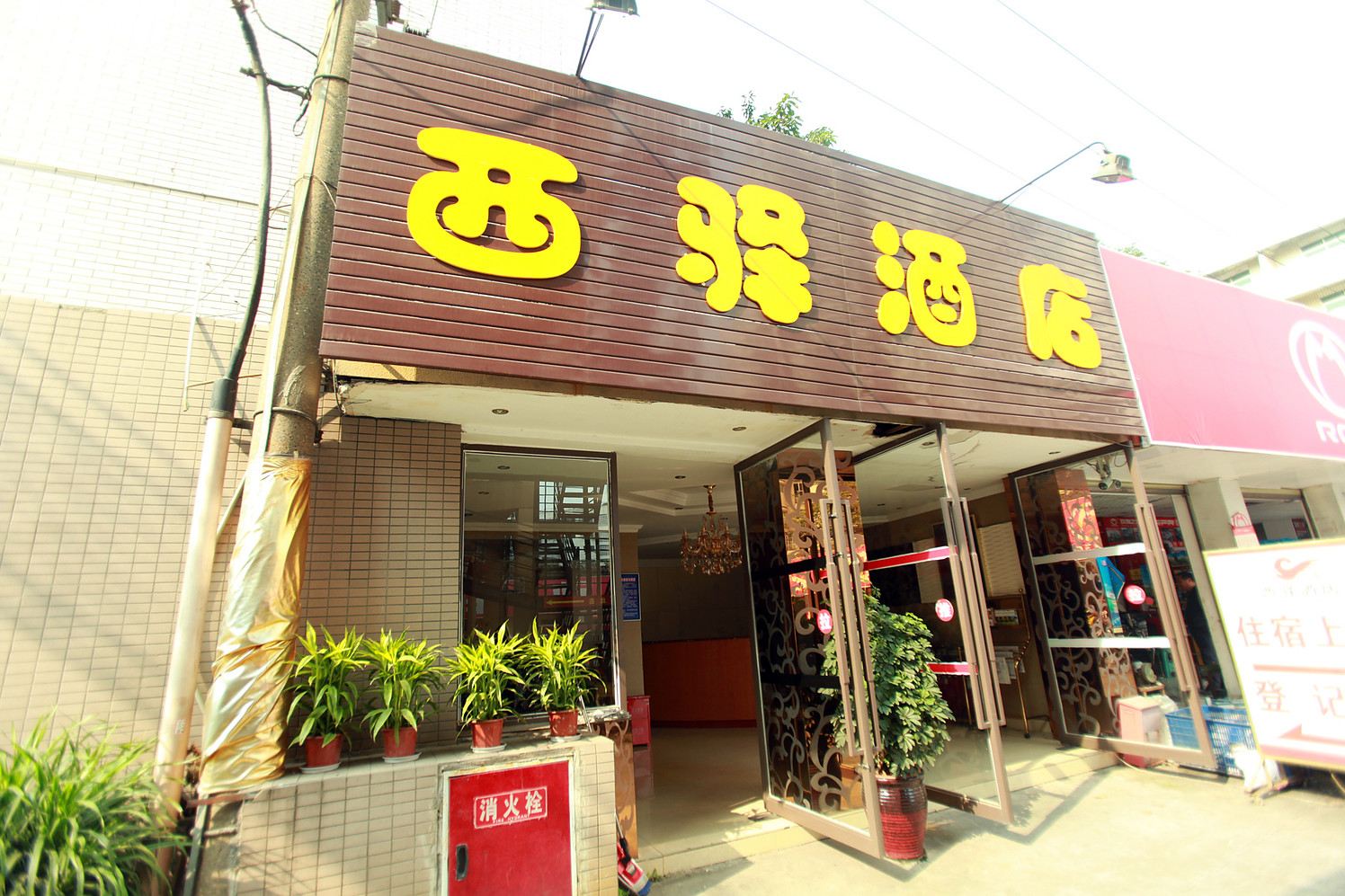 外观