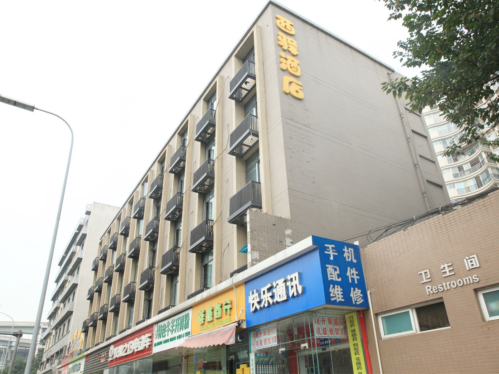 外观