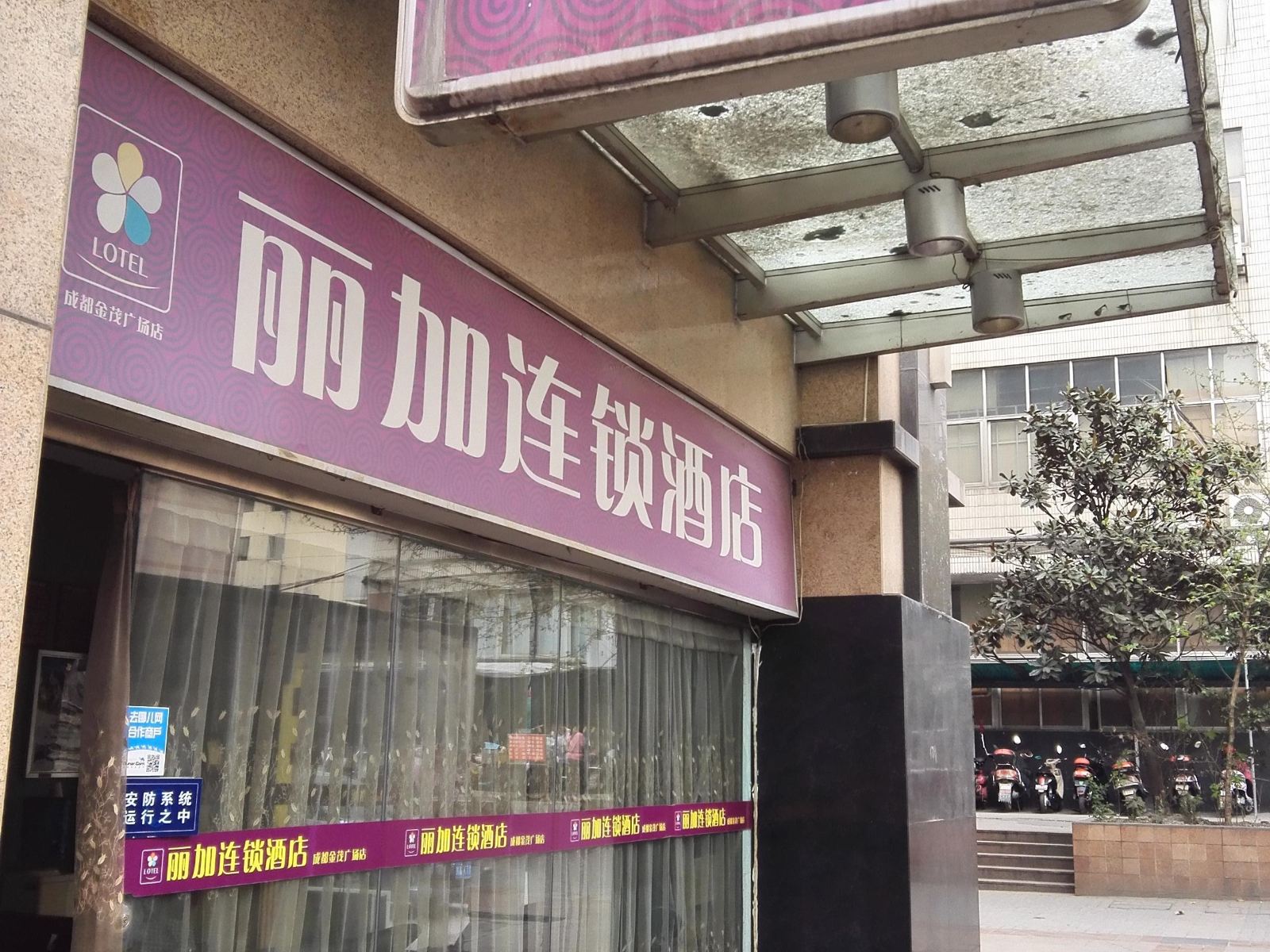 外观
