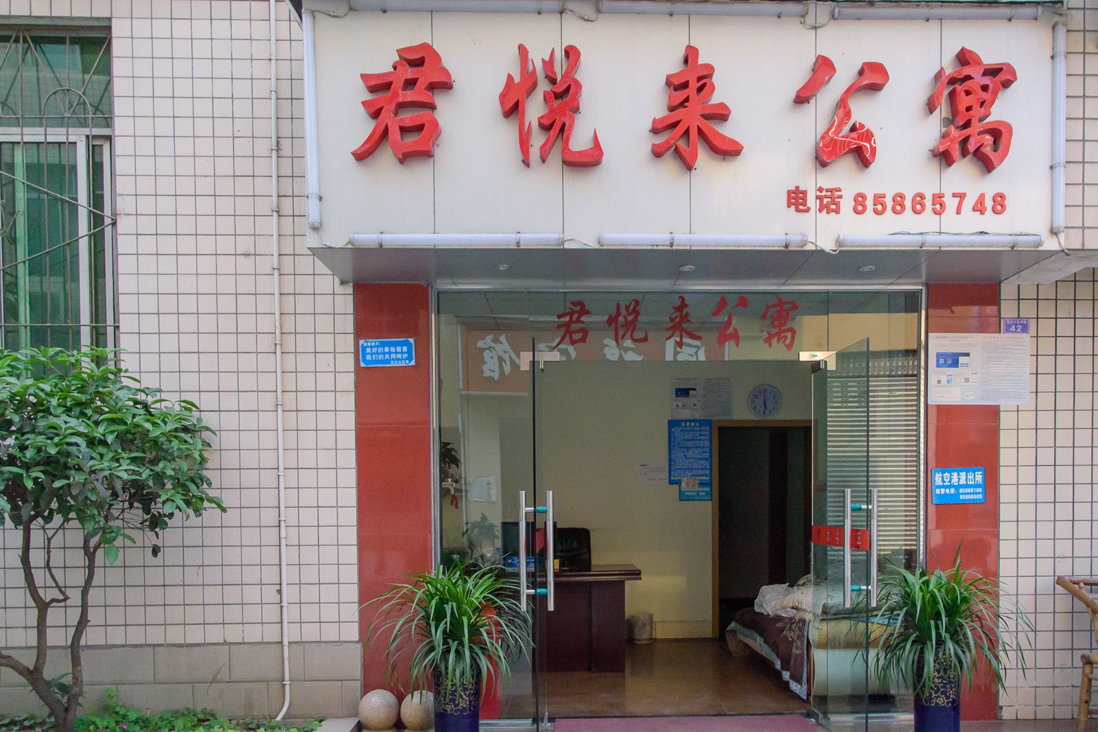 外观