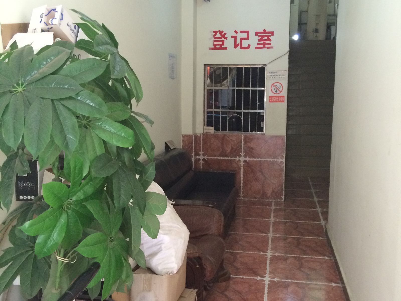 公共区域
