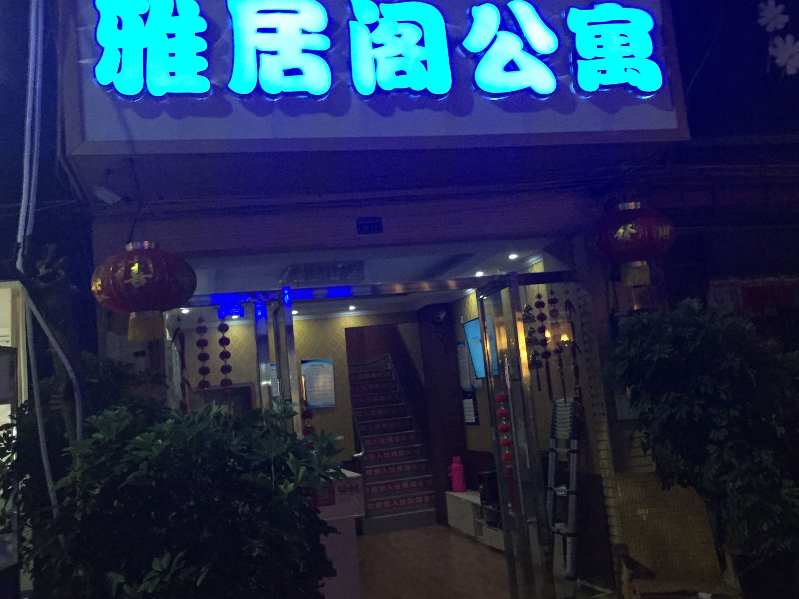 外观