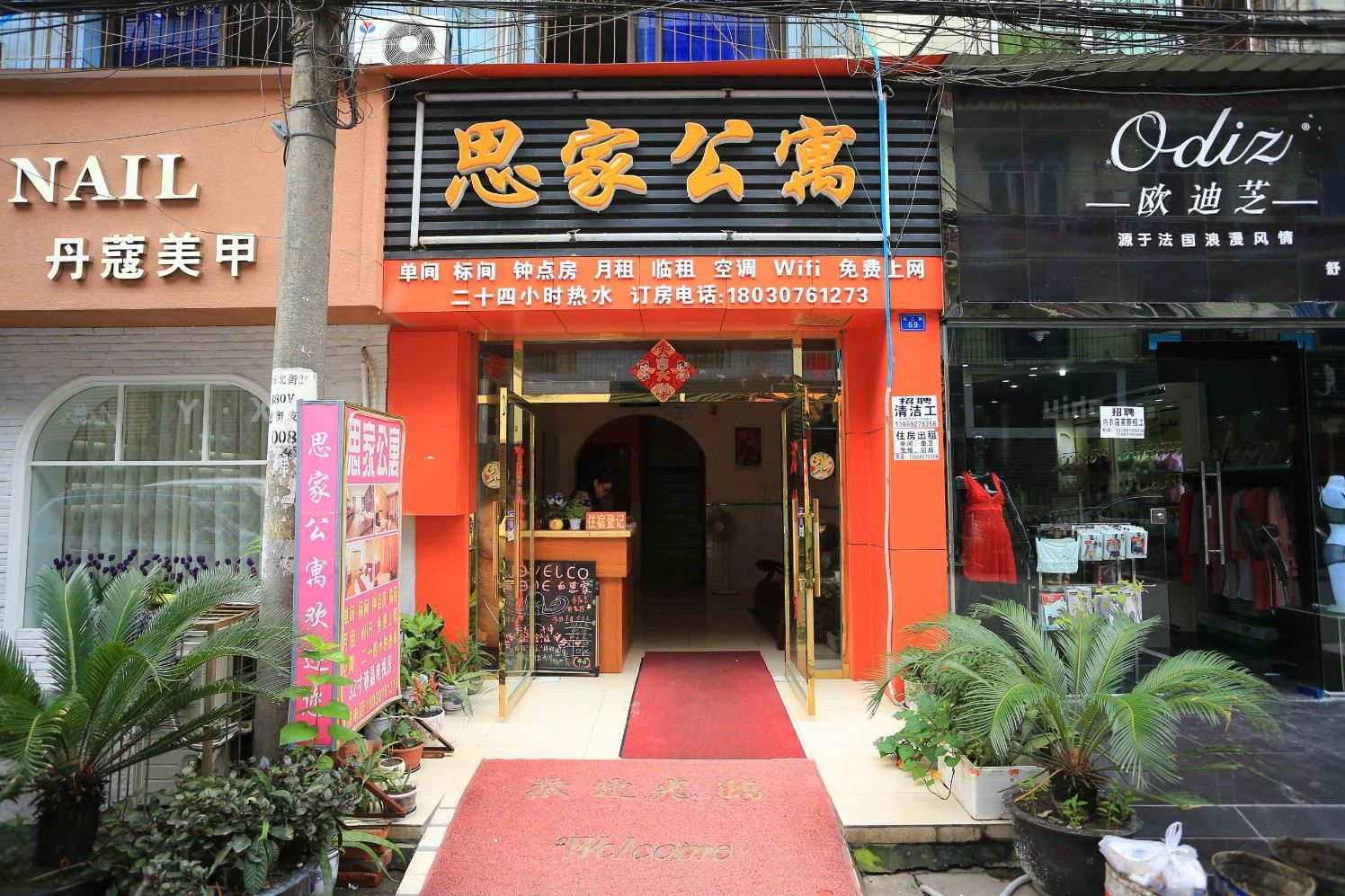 外观