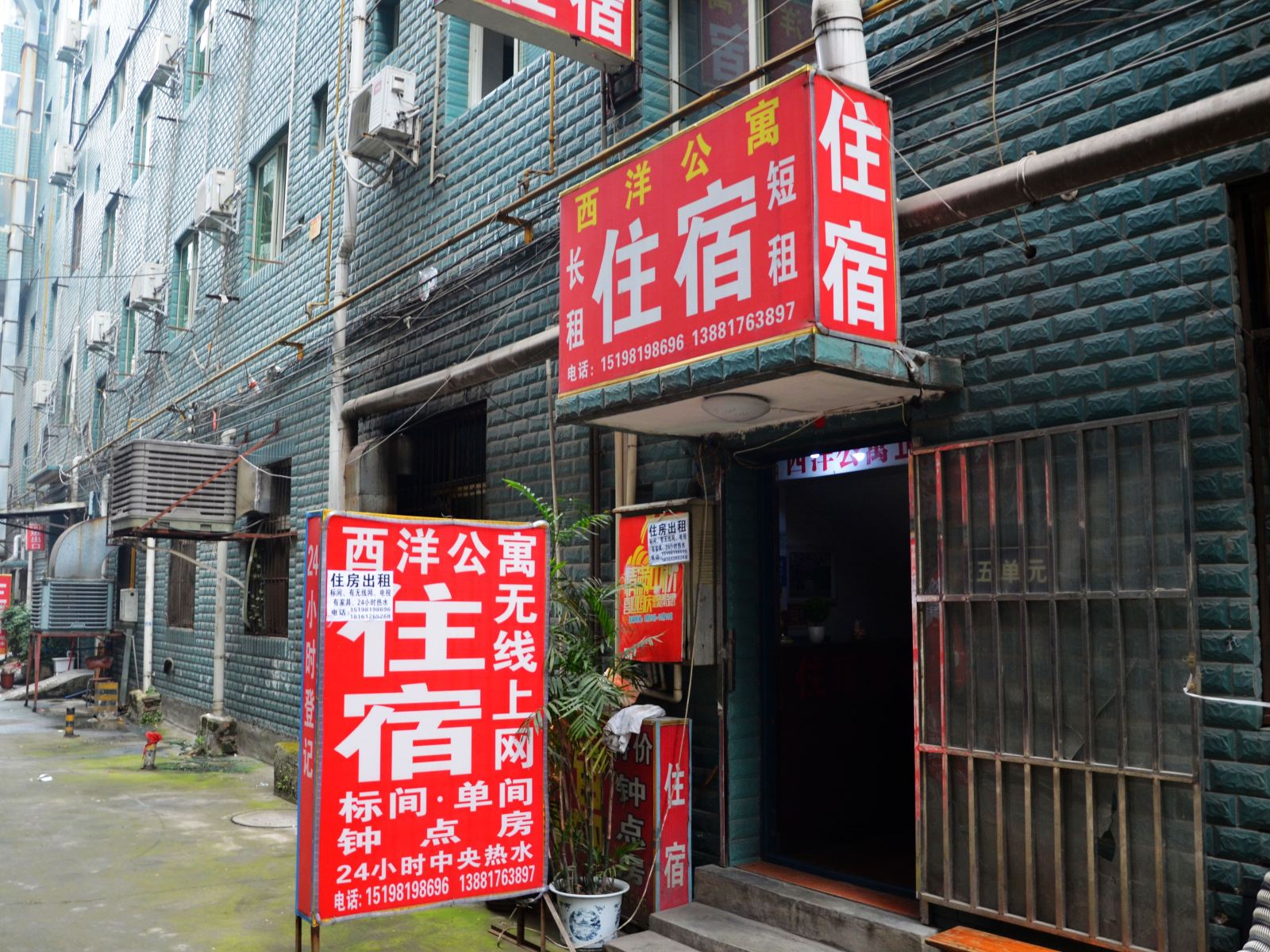 外观