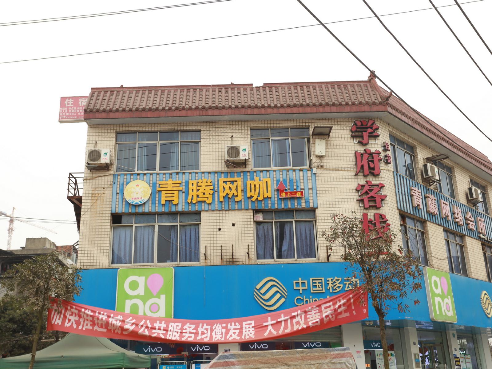 外观